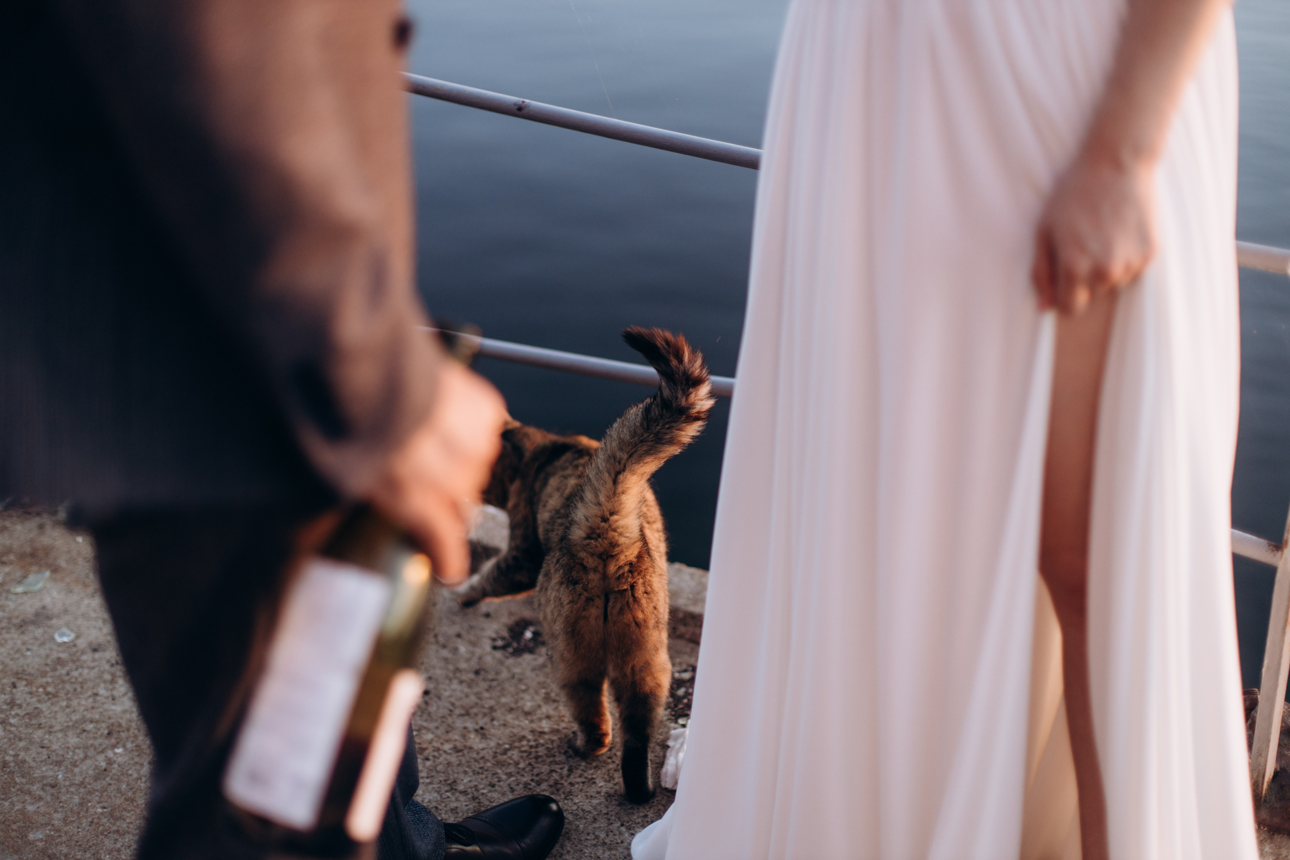 Olga and Maxim. Photographer Andrey Nekrasov