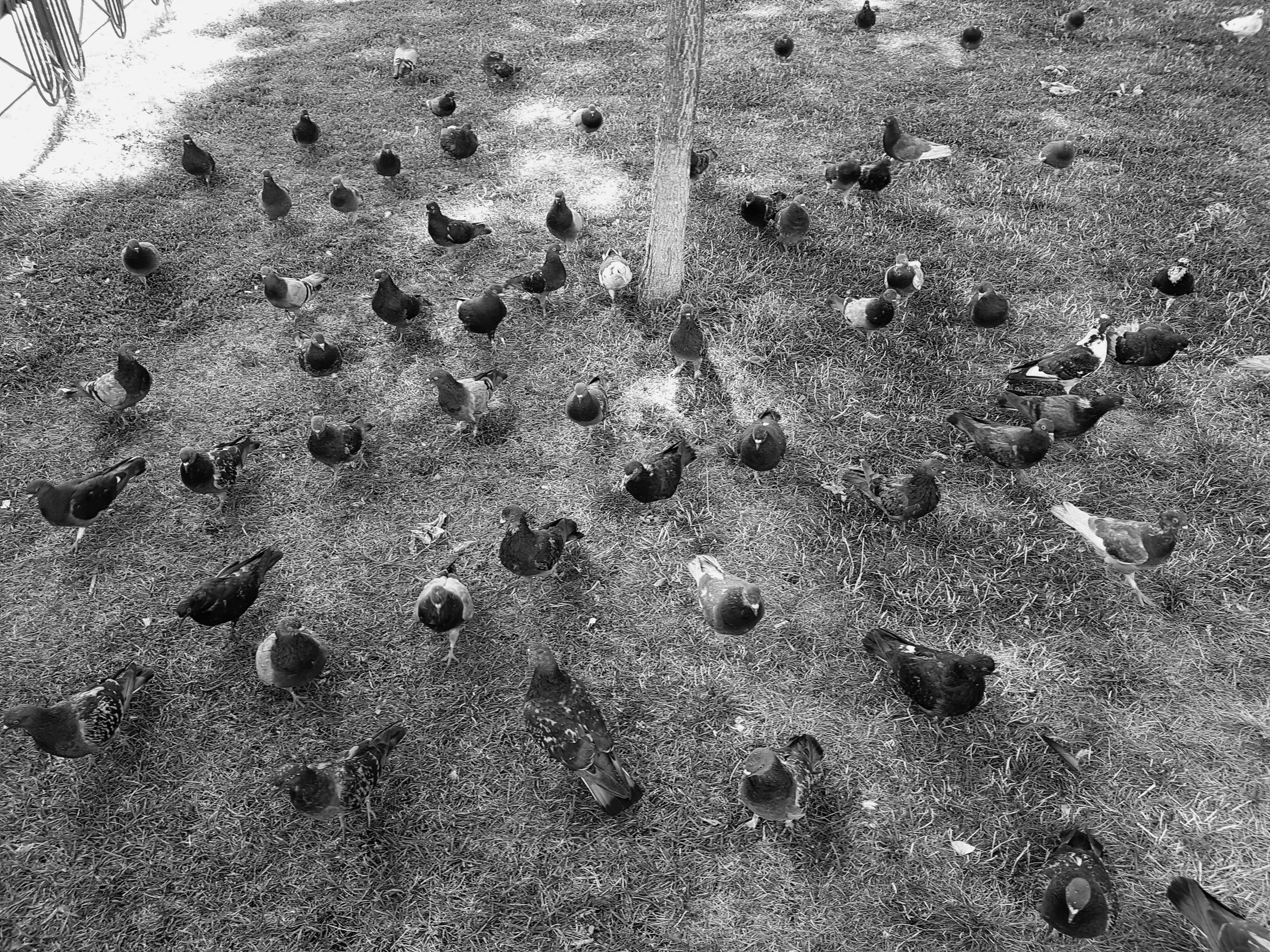 ART. Photographer Andrey Nekrasov