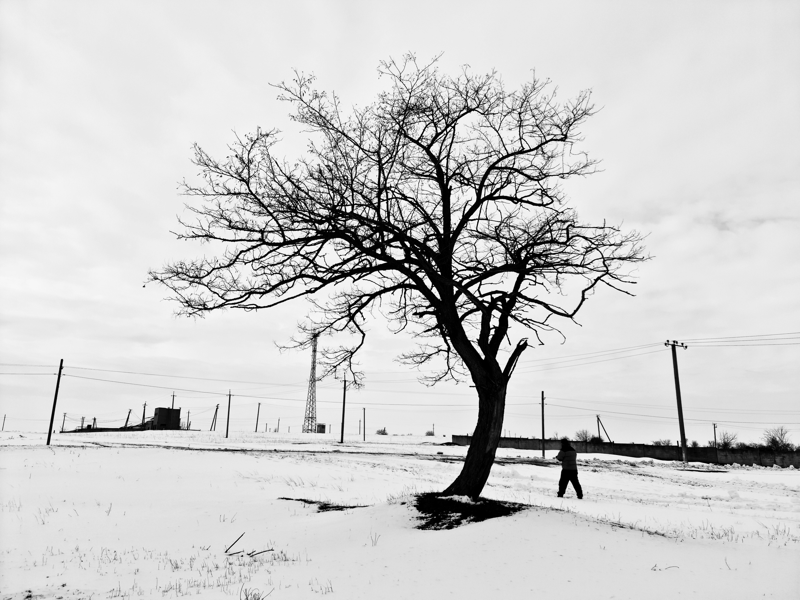 ART. Photographer Andrey Nekrasov