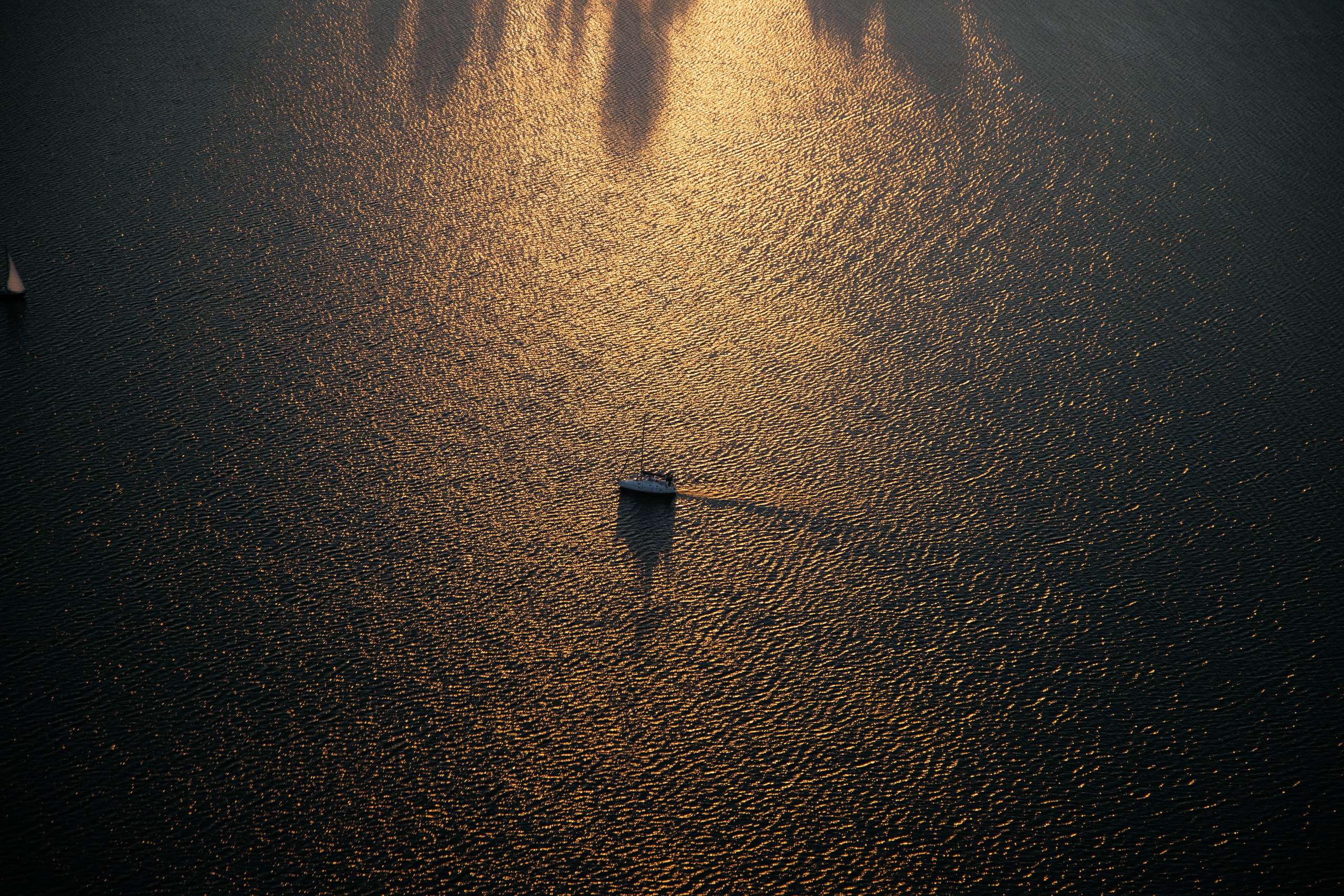 Anastasia and Dmytro. Photographer Andrey Nekrasov