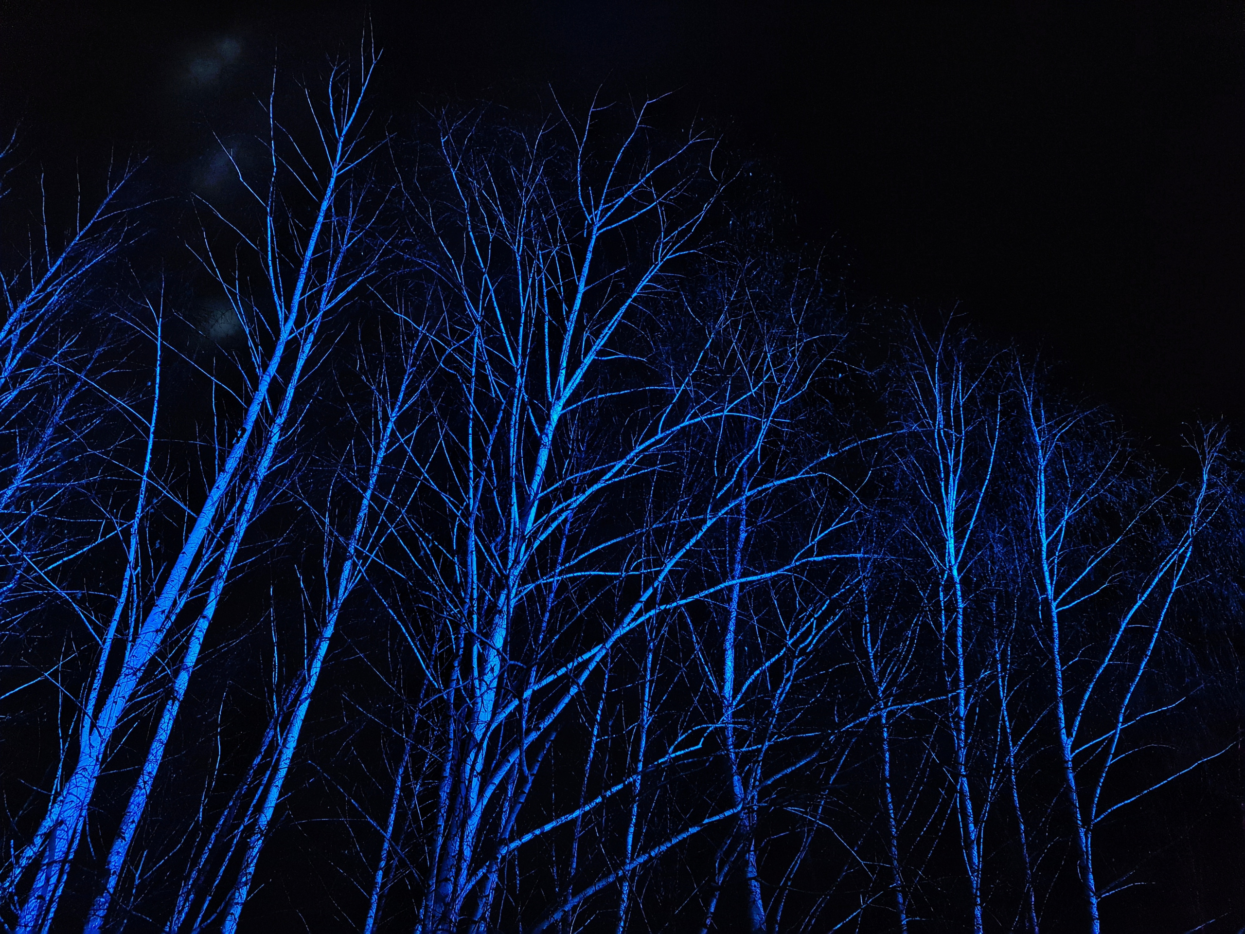 ART. Photographer Andrey Nekrasov