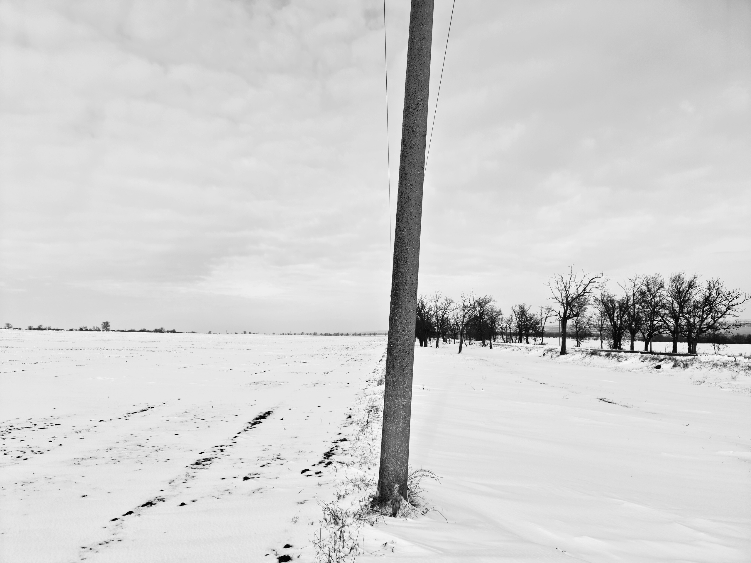 ART. Photographer Andrey Nekrasov