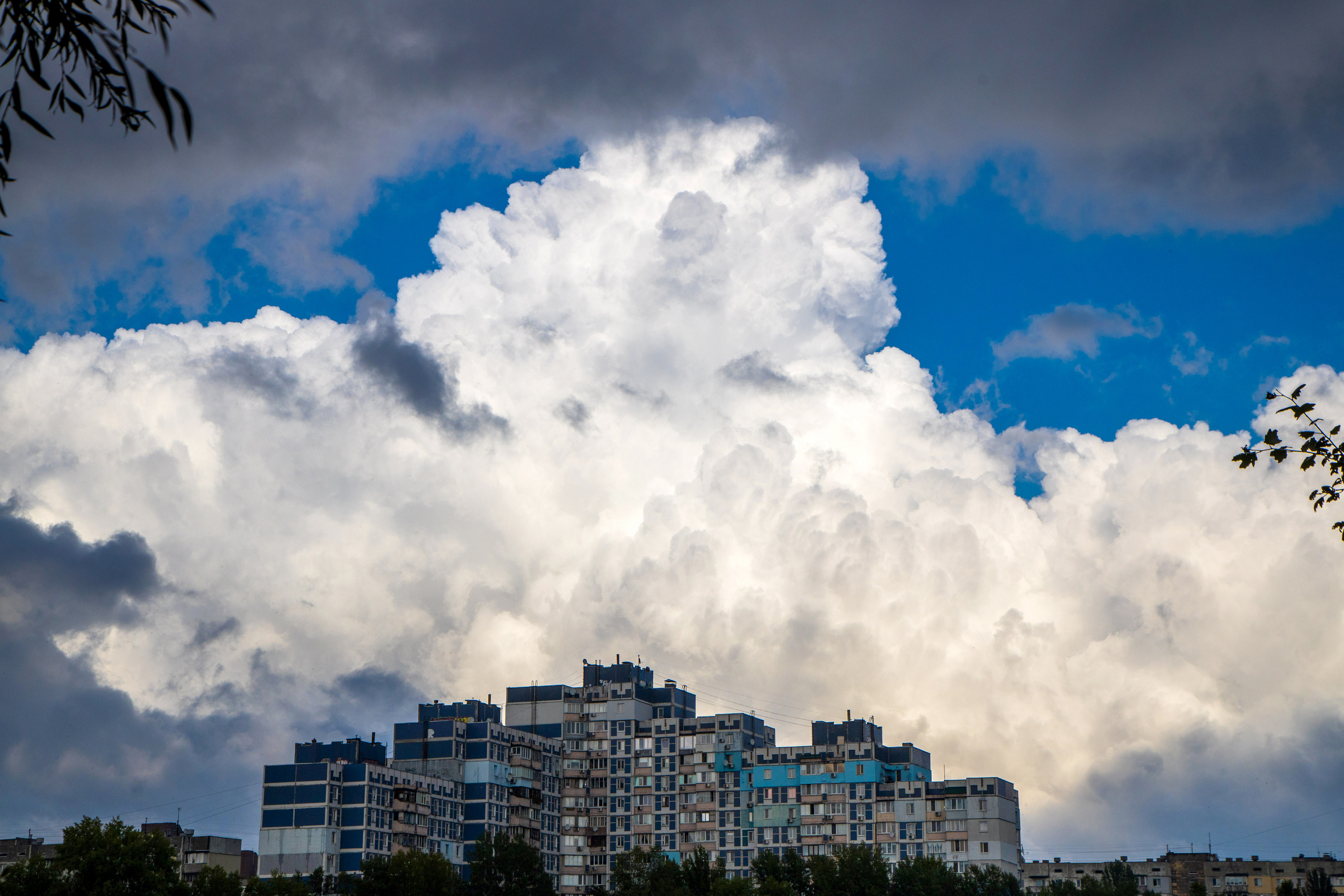 ART. Photographer Andrey Nekrasov