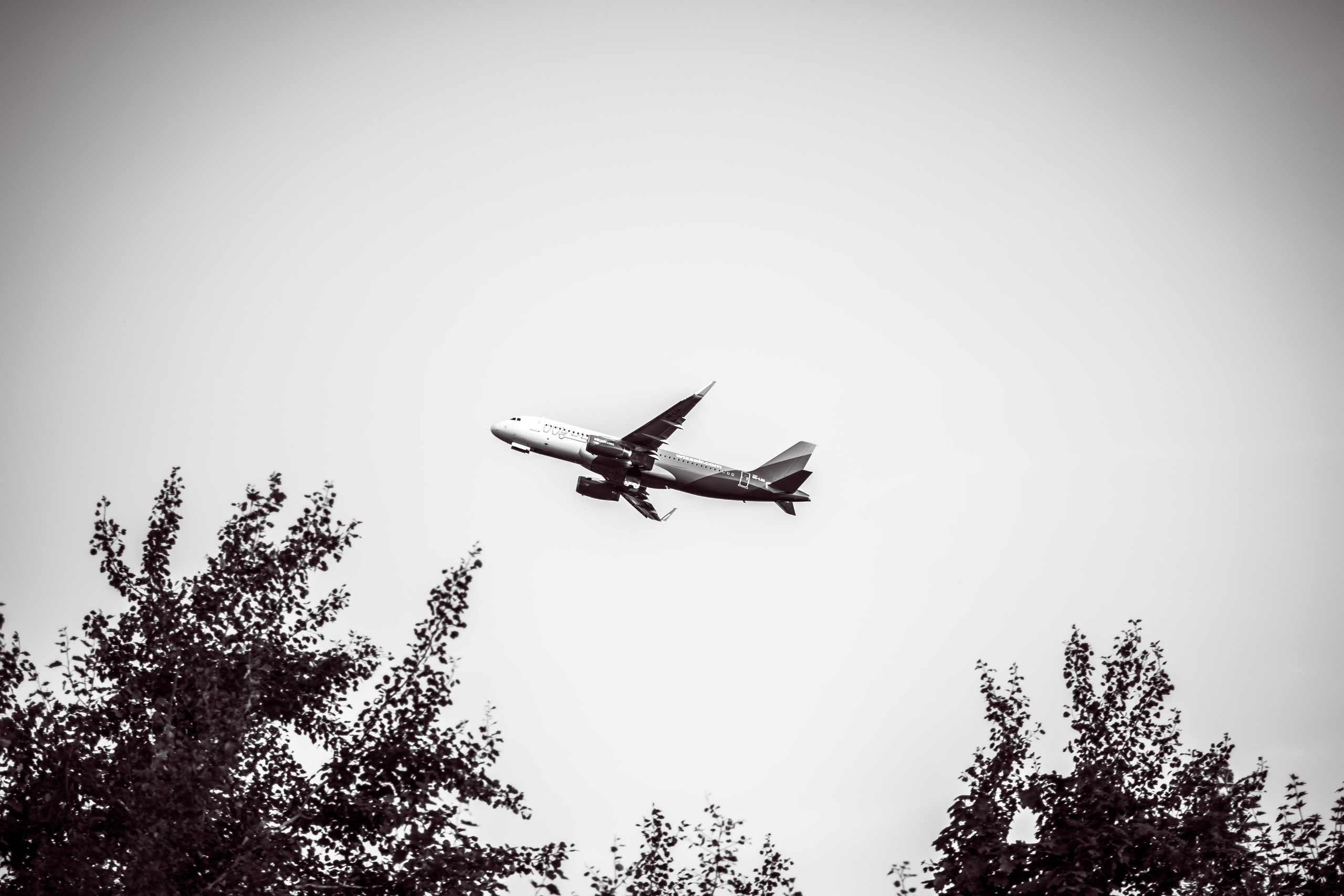 ART. Photographer Andrey Nekrasov