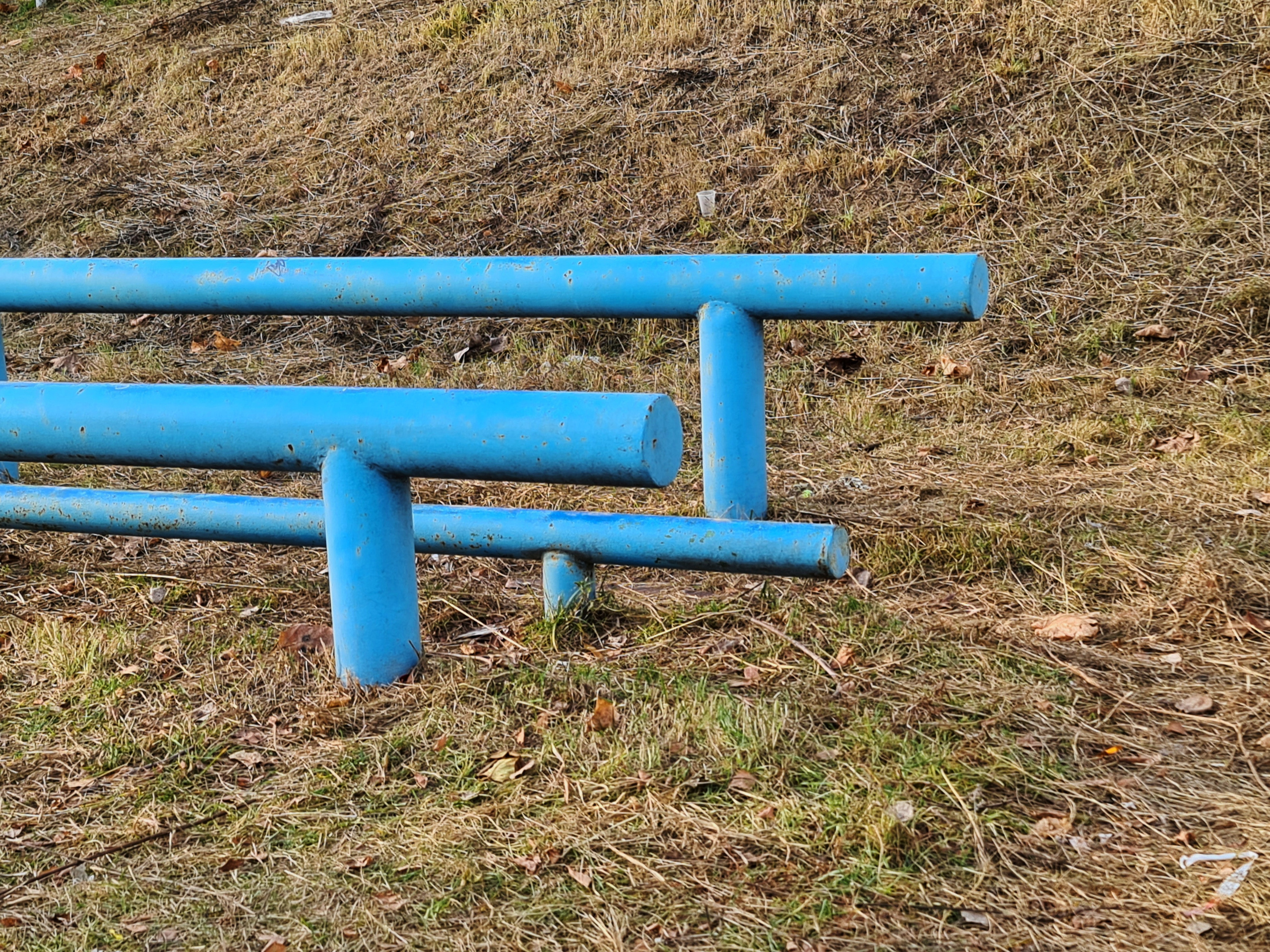 ART. Photographer Andrey Nekrasov