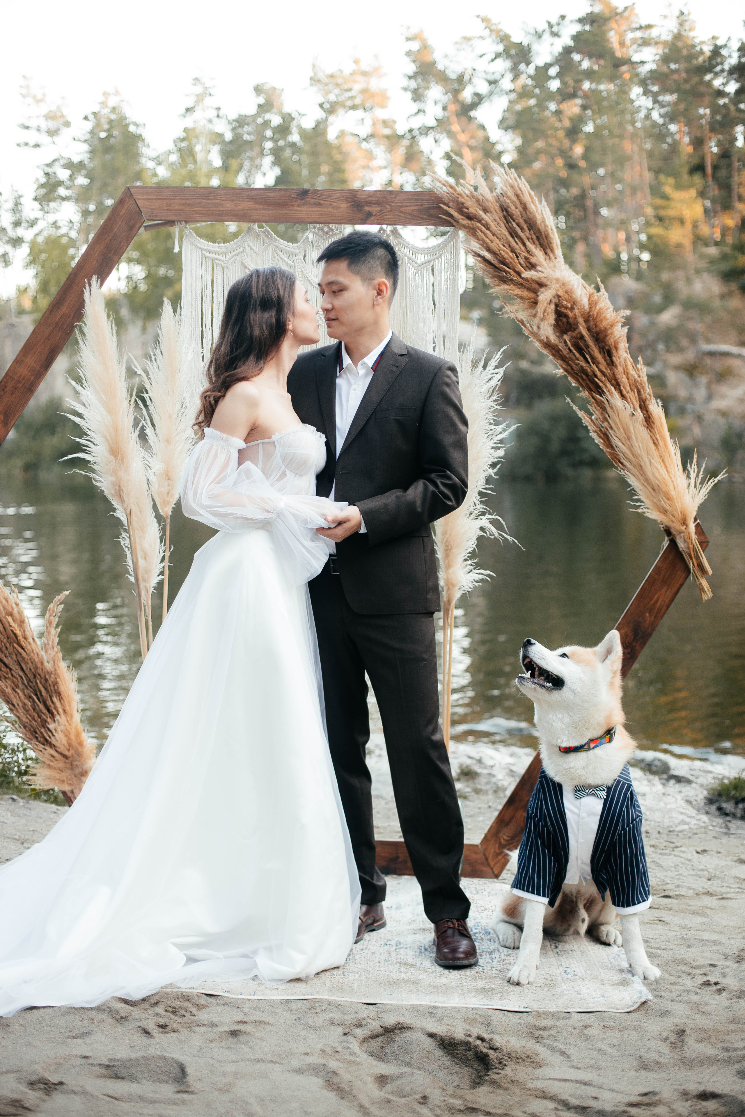 Красивая свадьба в Киеве, фотограф Некрасов Андрей, Коростишівський каньйон