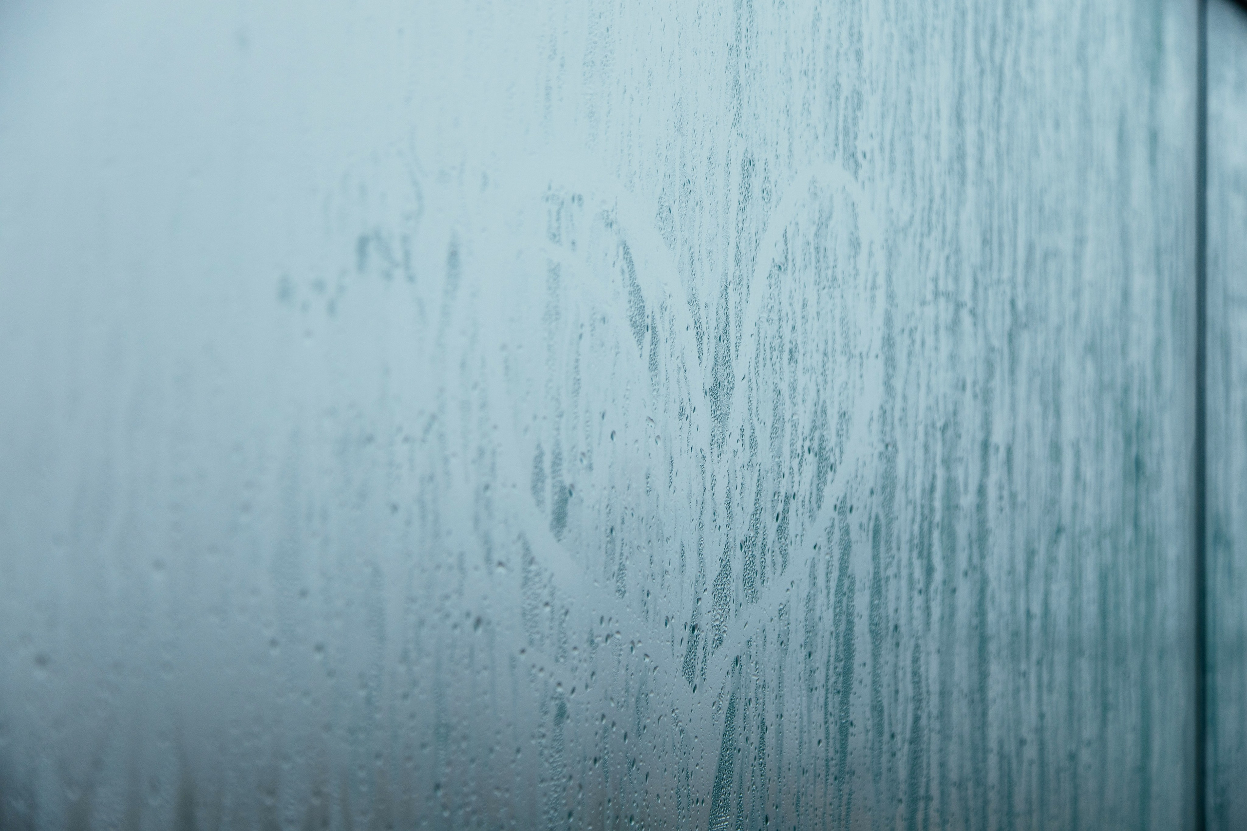 Love story. Photographer Andrey Nekrasov