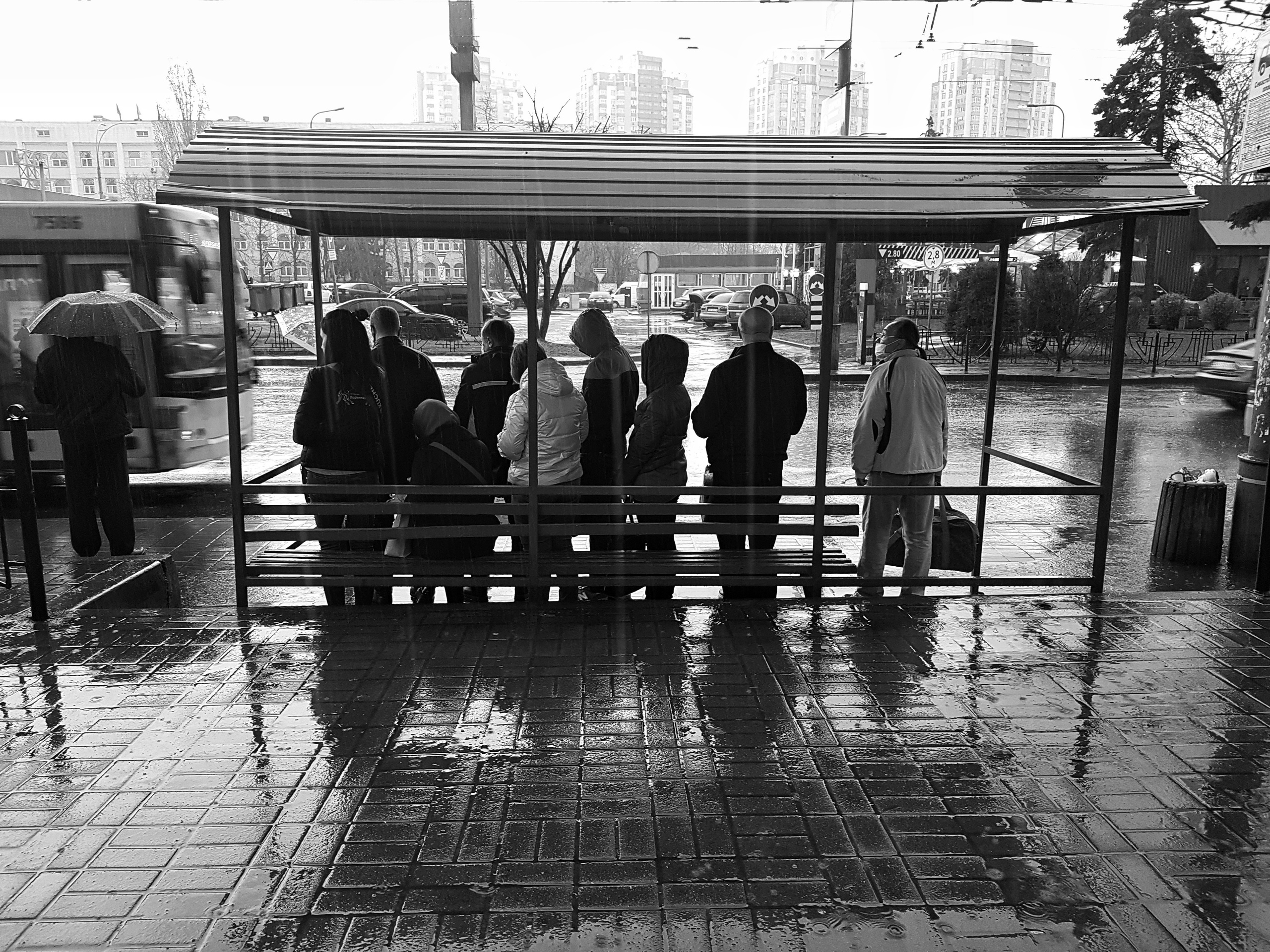 ART. Photographer Andrey Nekrasov