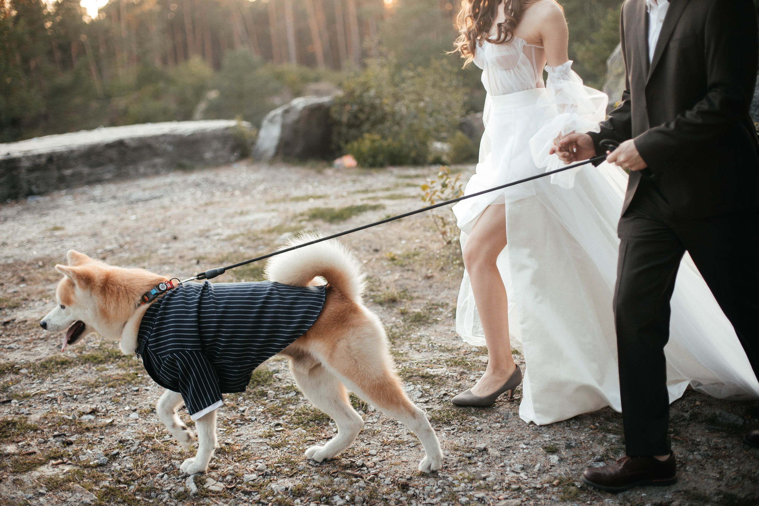 Красивая свадьба в Киеве, фотограф Некрасов Андрей, Коростишівський каньйон