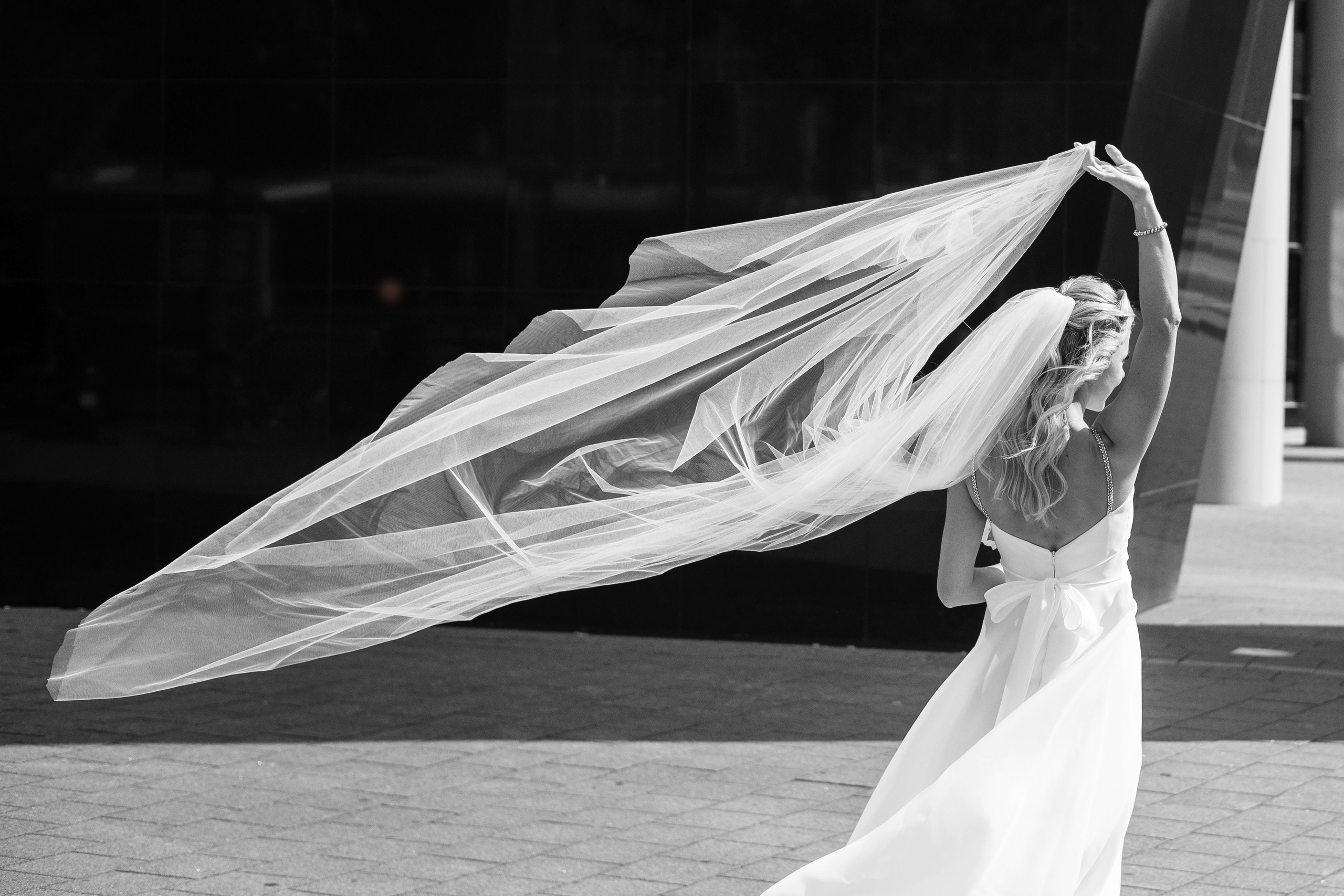 Wedding. Photographer Andrey Nekrasov