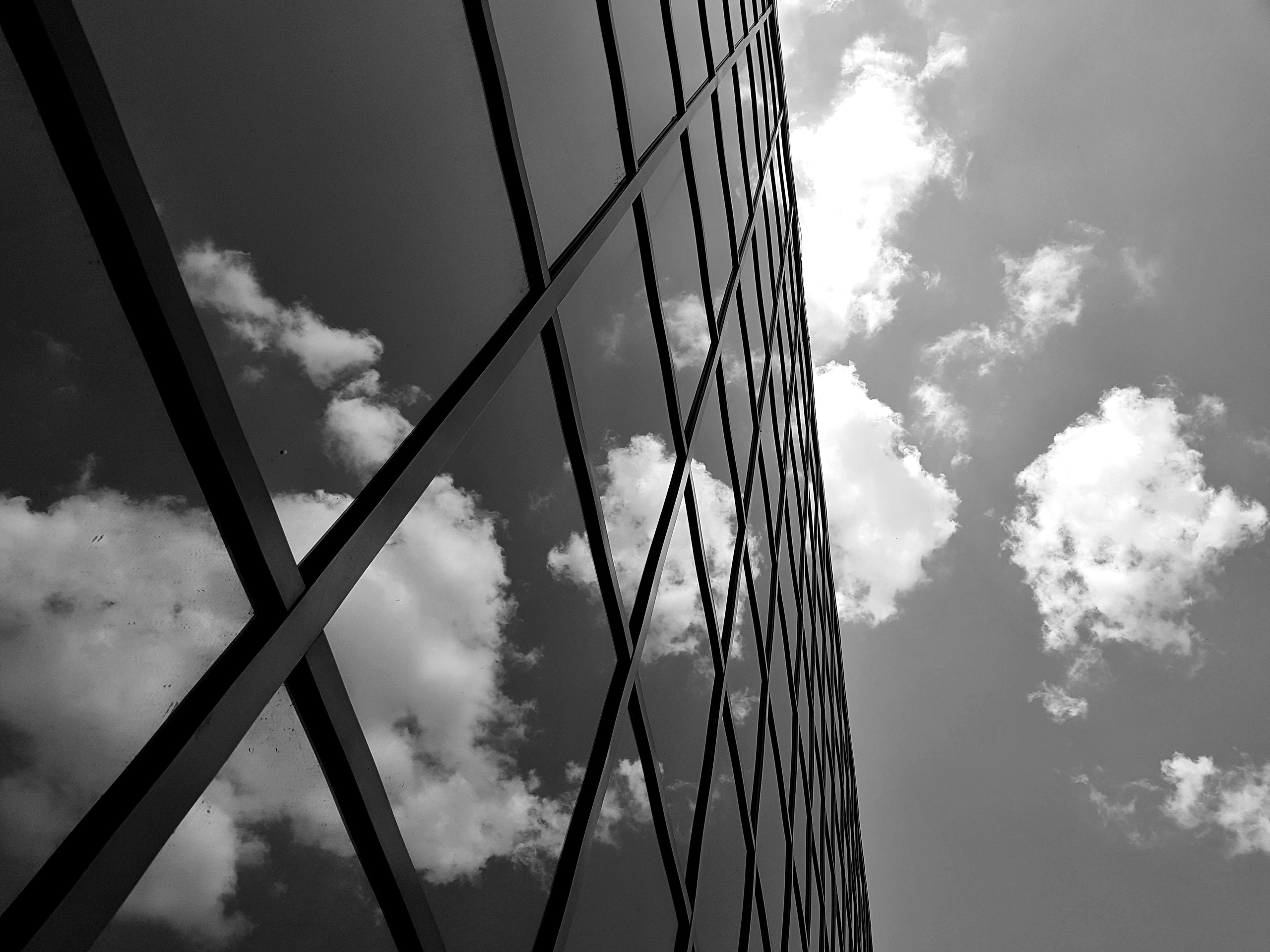 ART. Photographer Andrey Nekrasov