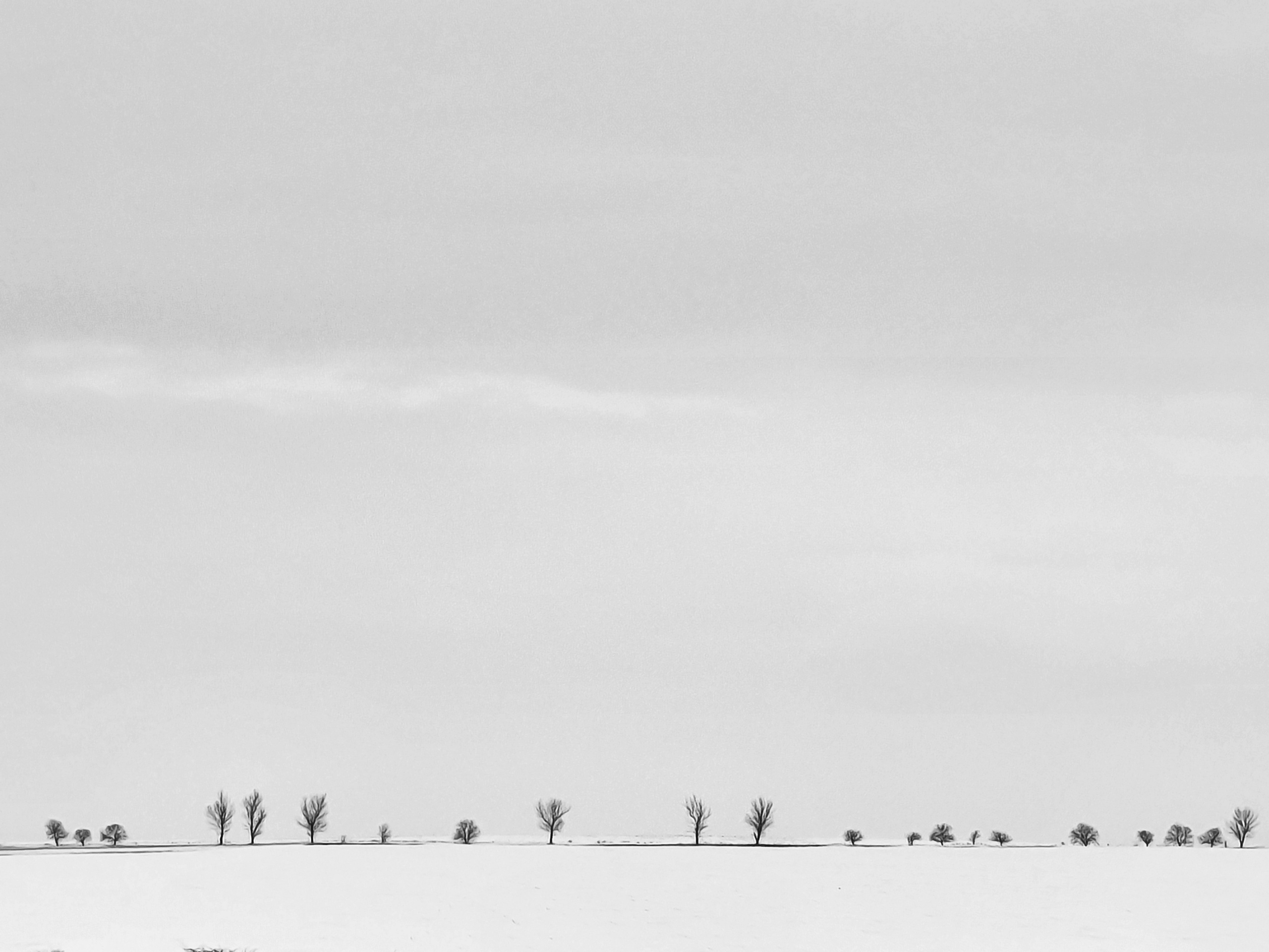 ART. Photographer Andrey Nekrasov