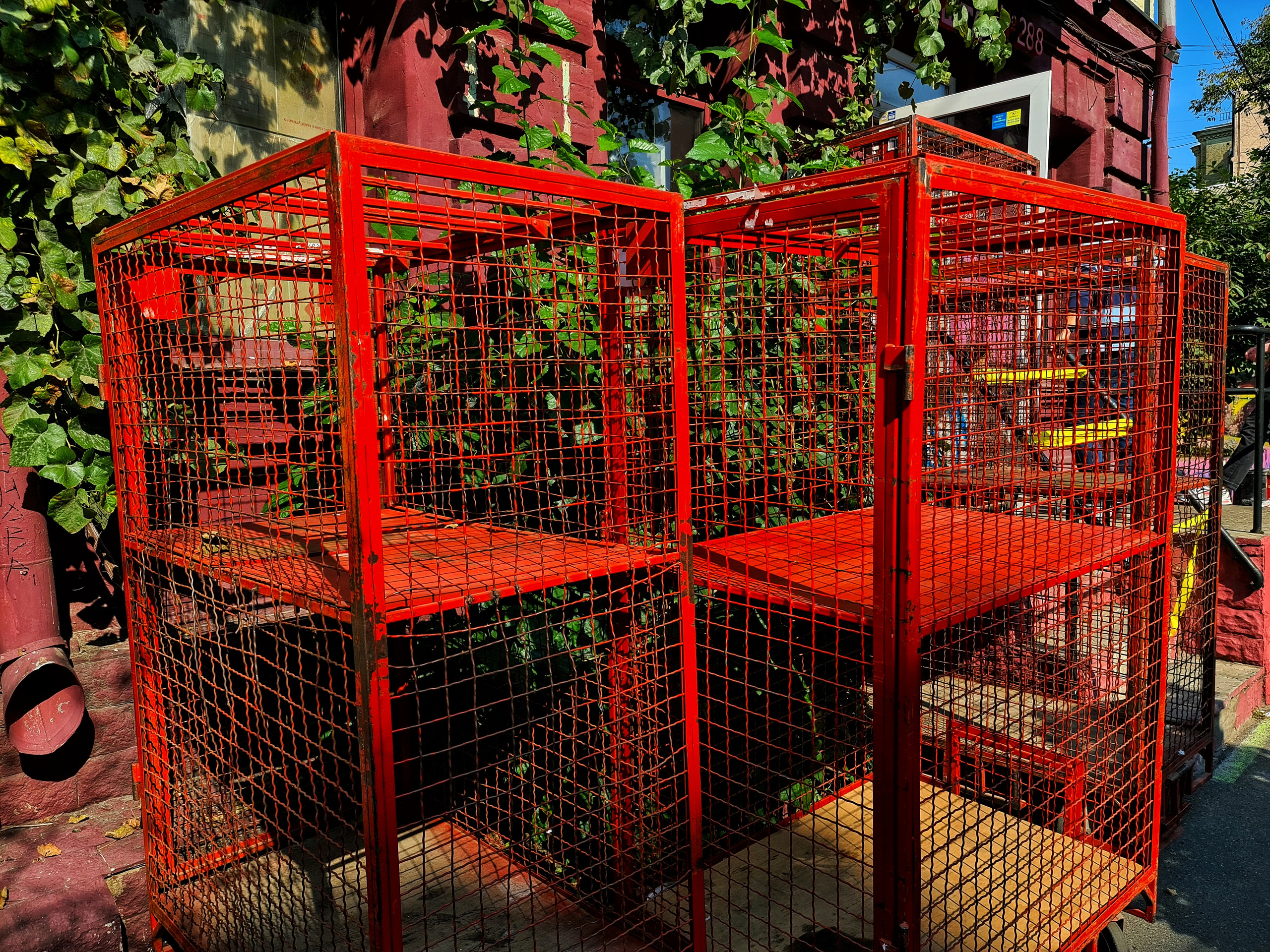 ART. Photographer Andrey Nekrasov