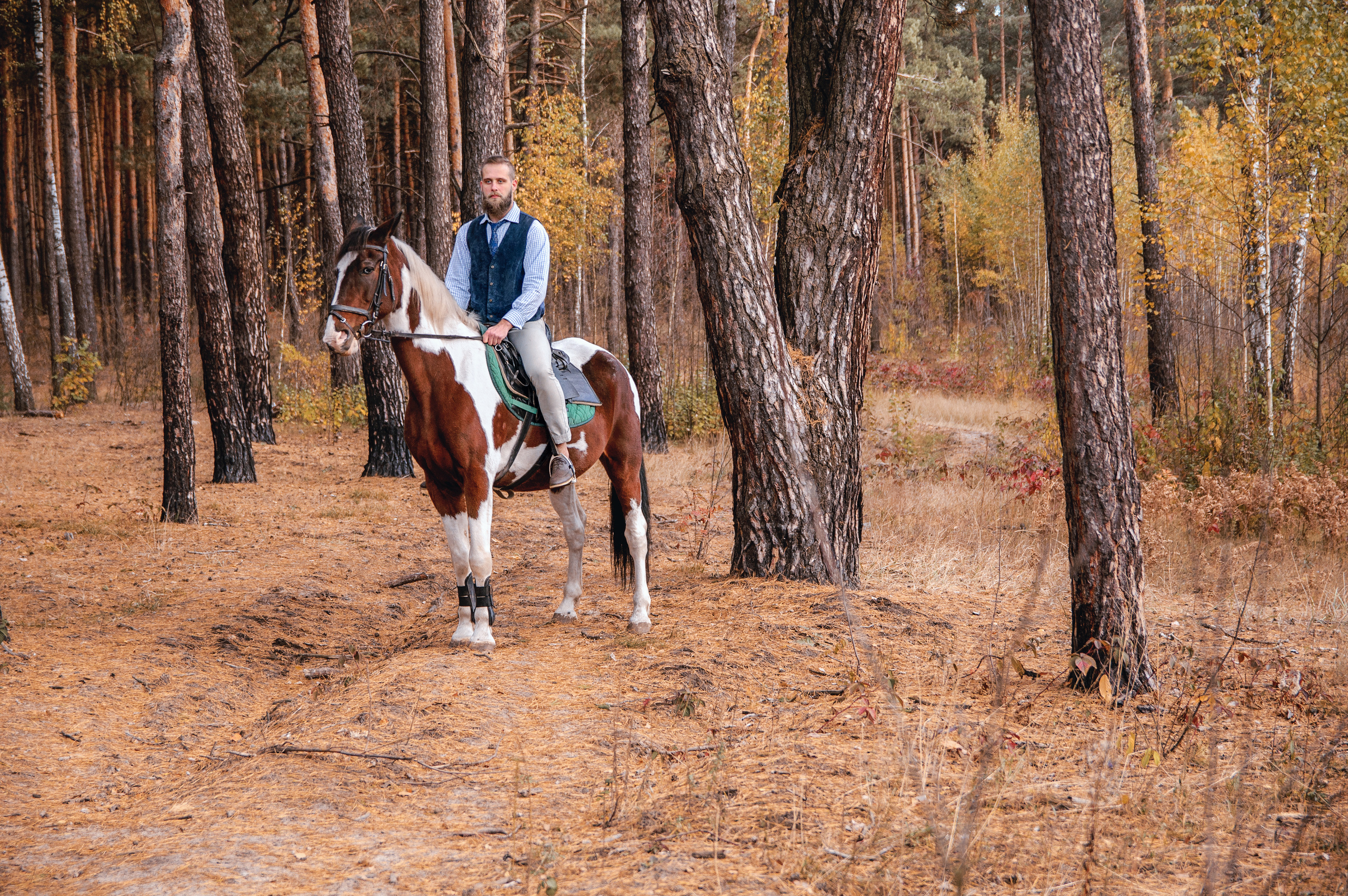 Весільна фотосесія в Чернігові. Весільний фотограф Чернігів — Elena Ozornina