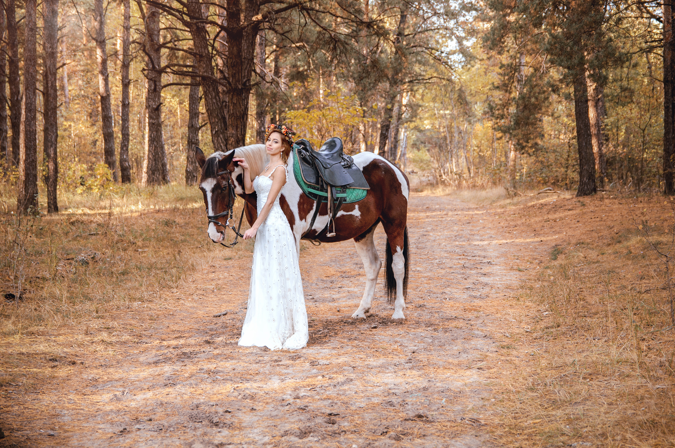 Весільна фотосесія в Чернігові. Весільний фотограф Чернігів — Elena Ozornina