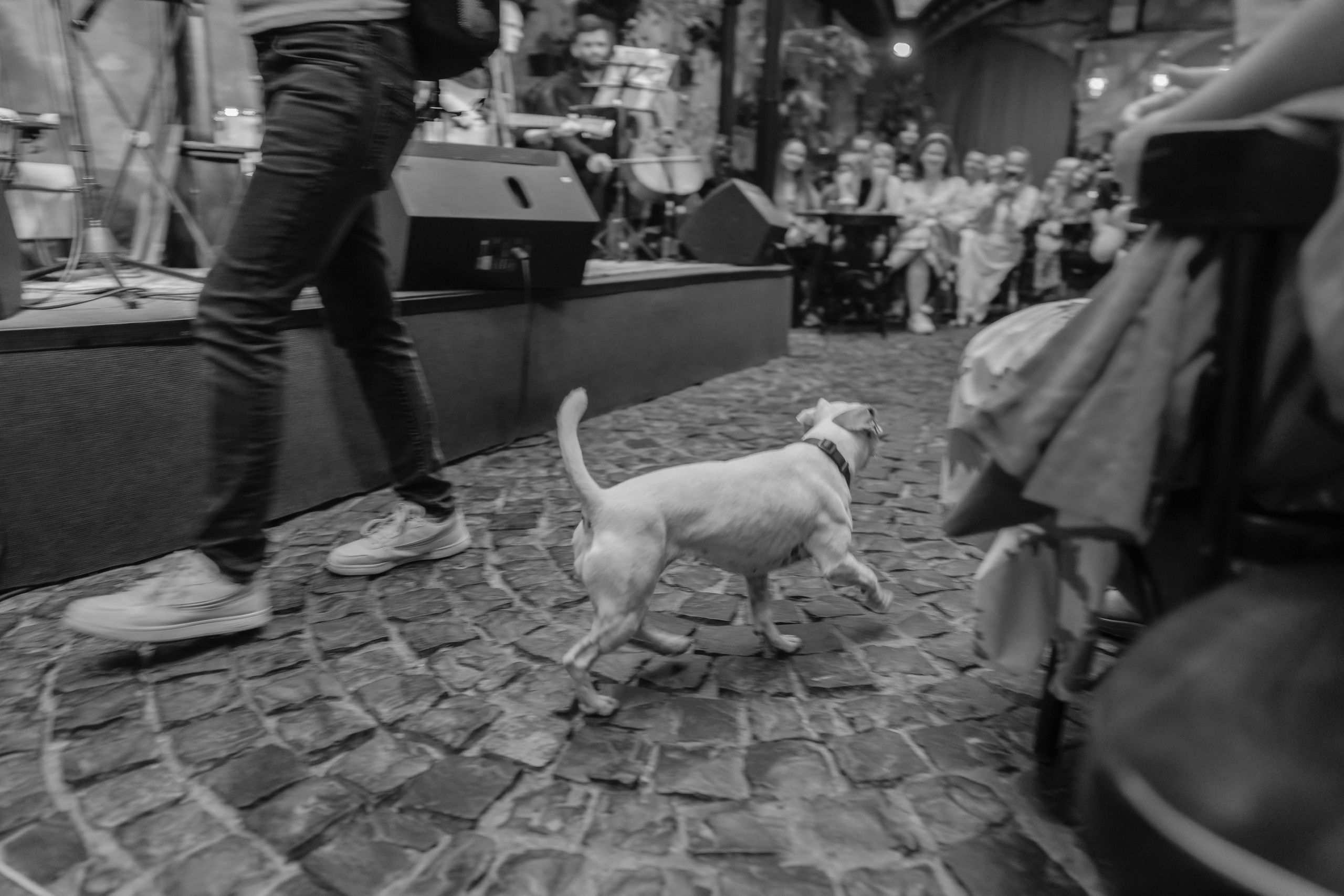 #ДашаЧитає. Весільний фотограф Сергій Черепанов - Львів, Київ, Кропивницький