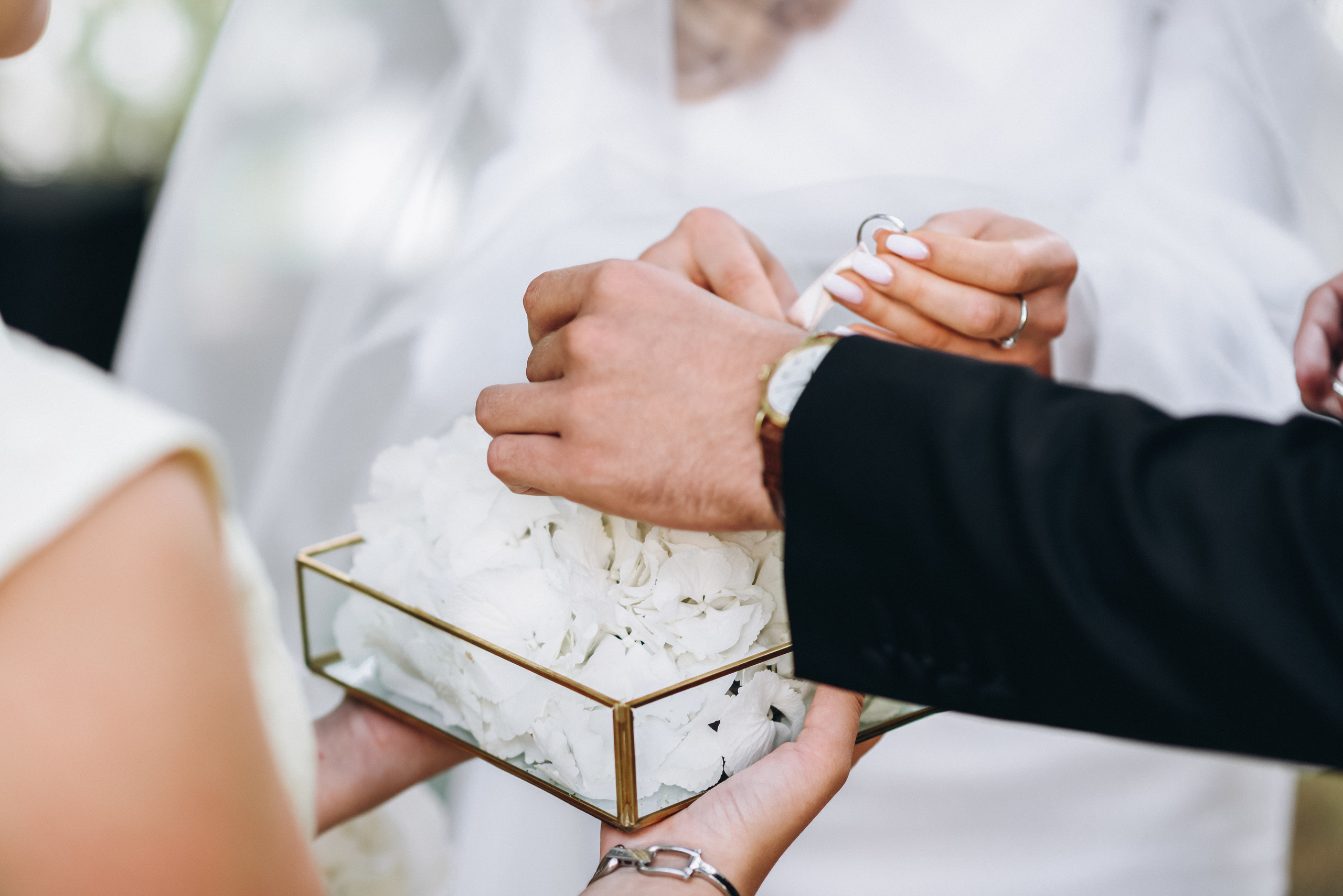 Робін та Кейт. Весільний фотограф Сергій Черепанов - Львів, Київ, Кропивницький