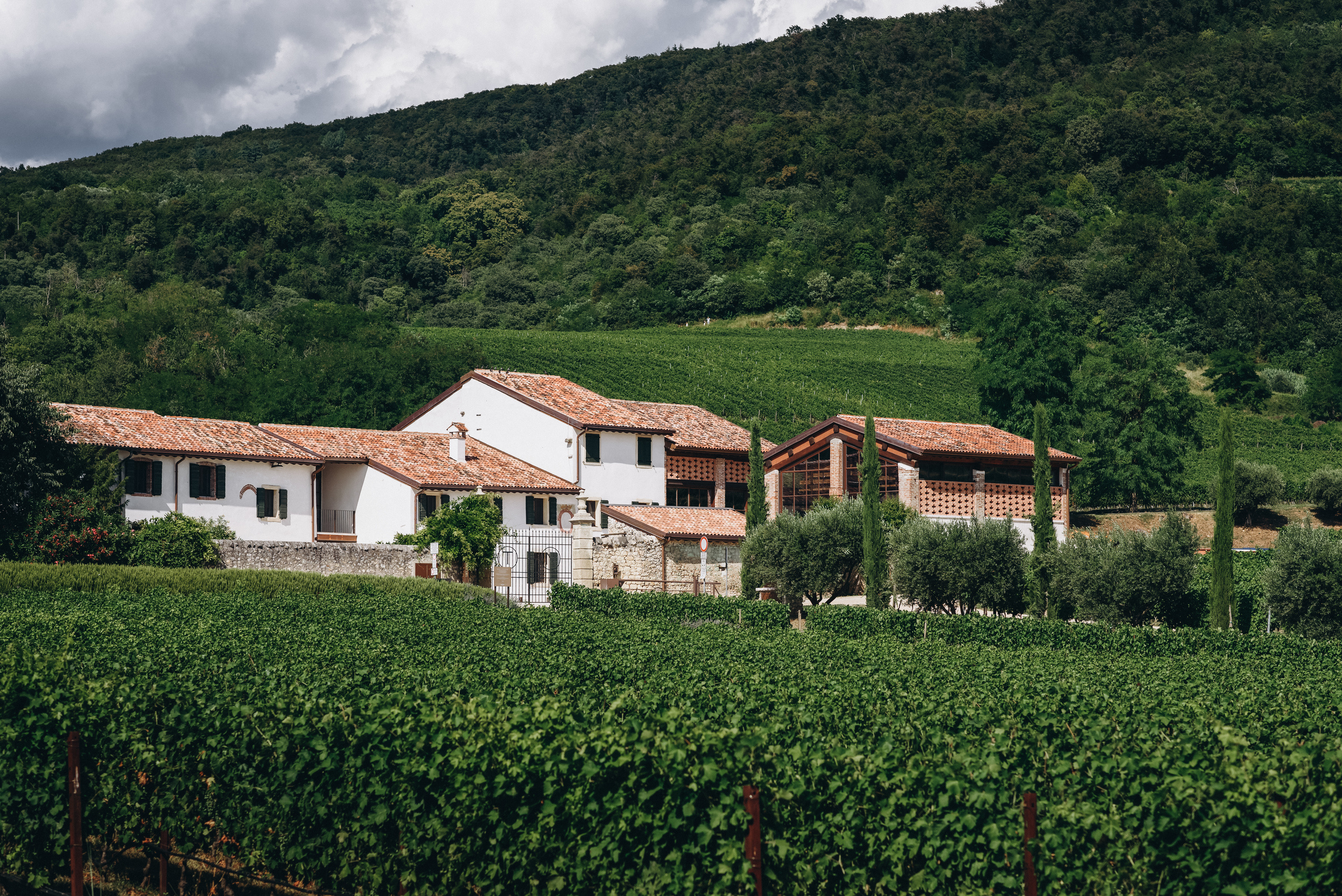Робін та Кейт. Весільний фотограф Сергій Черепанов - Львів, Київ, Кропивницький