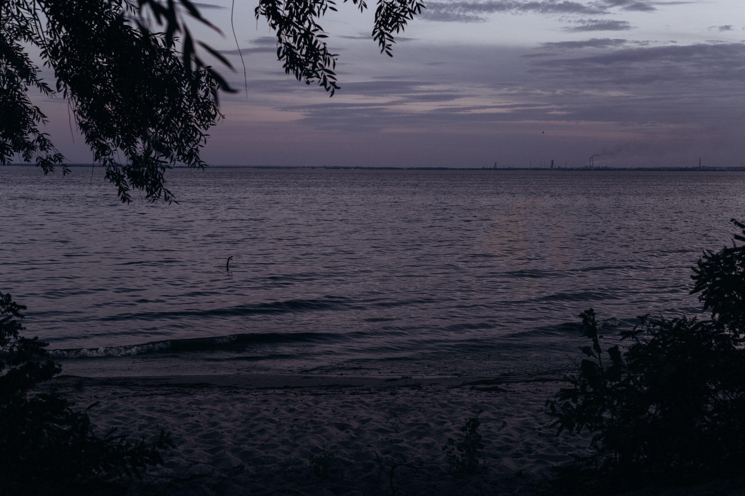 YANA & SASHA. Весільний фотограф Сергій Черепанов - Львів, Київ, Кропивницький