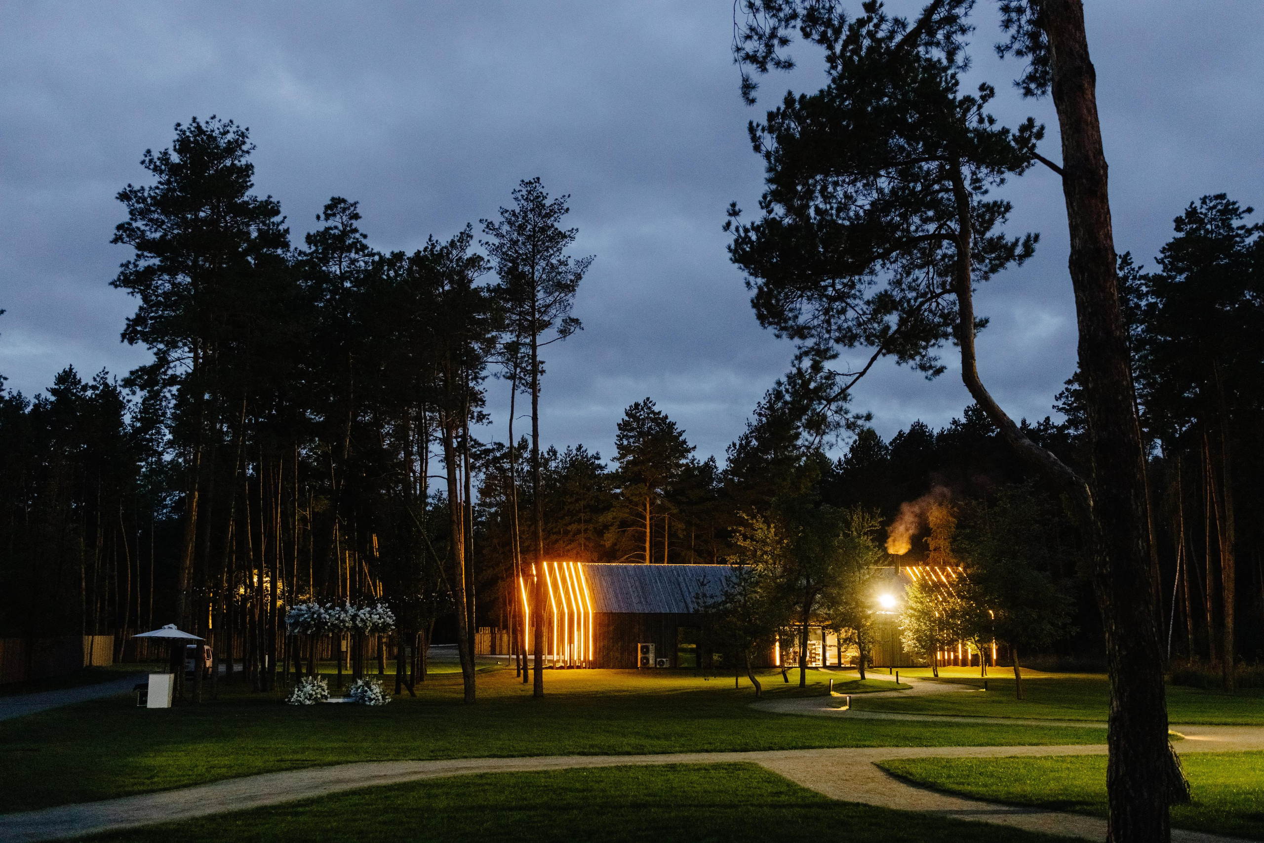 Дмитро та Катерина. Весільний фотограф Сергій Черепанов - Львів, Київ, Кропивницький
