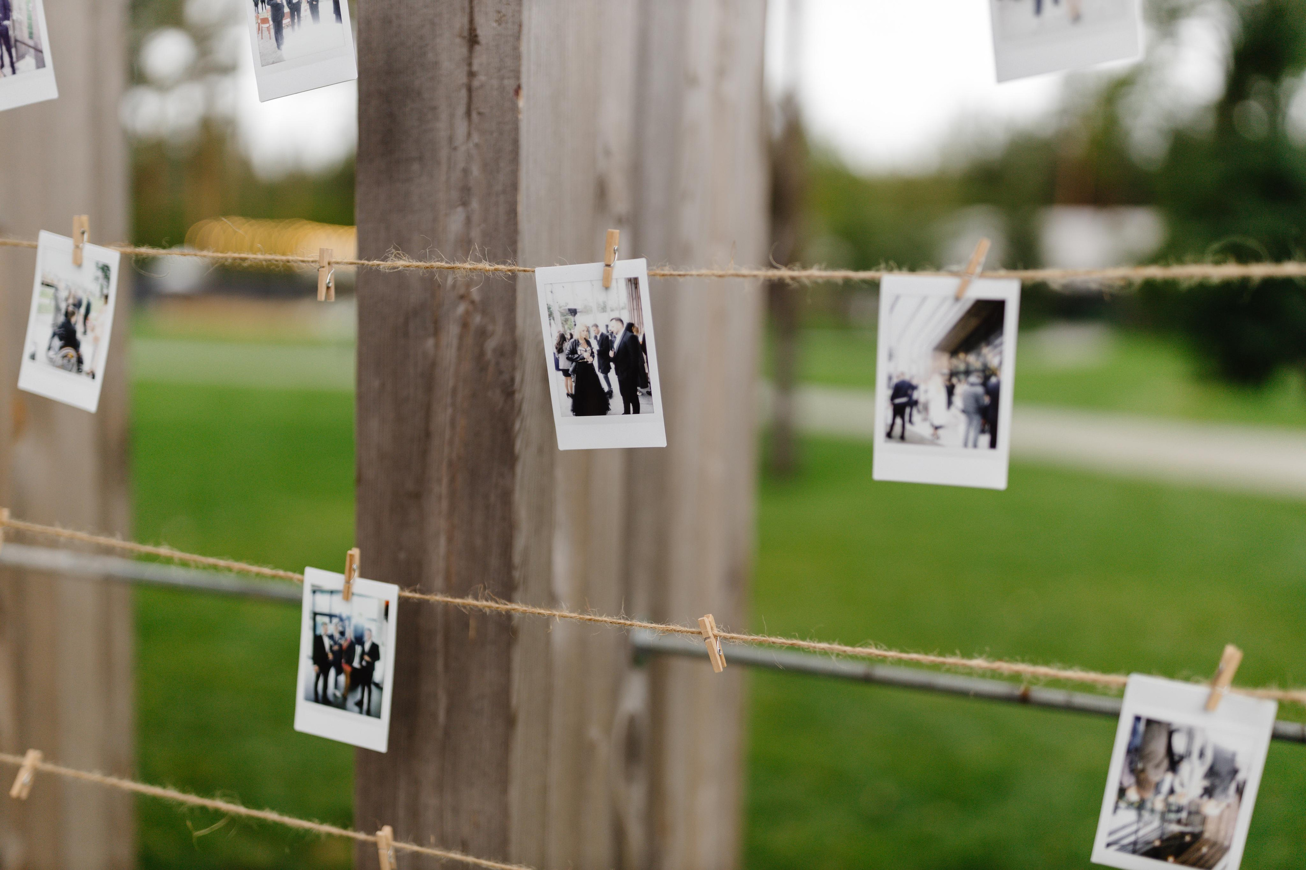 Дмитро та Катерина. Весільний фотограф Сергій Черепанов - Львів, Київ, Кропивницький