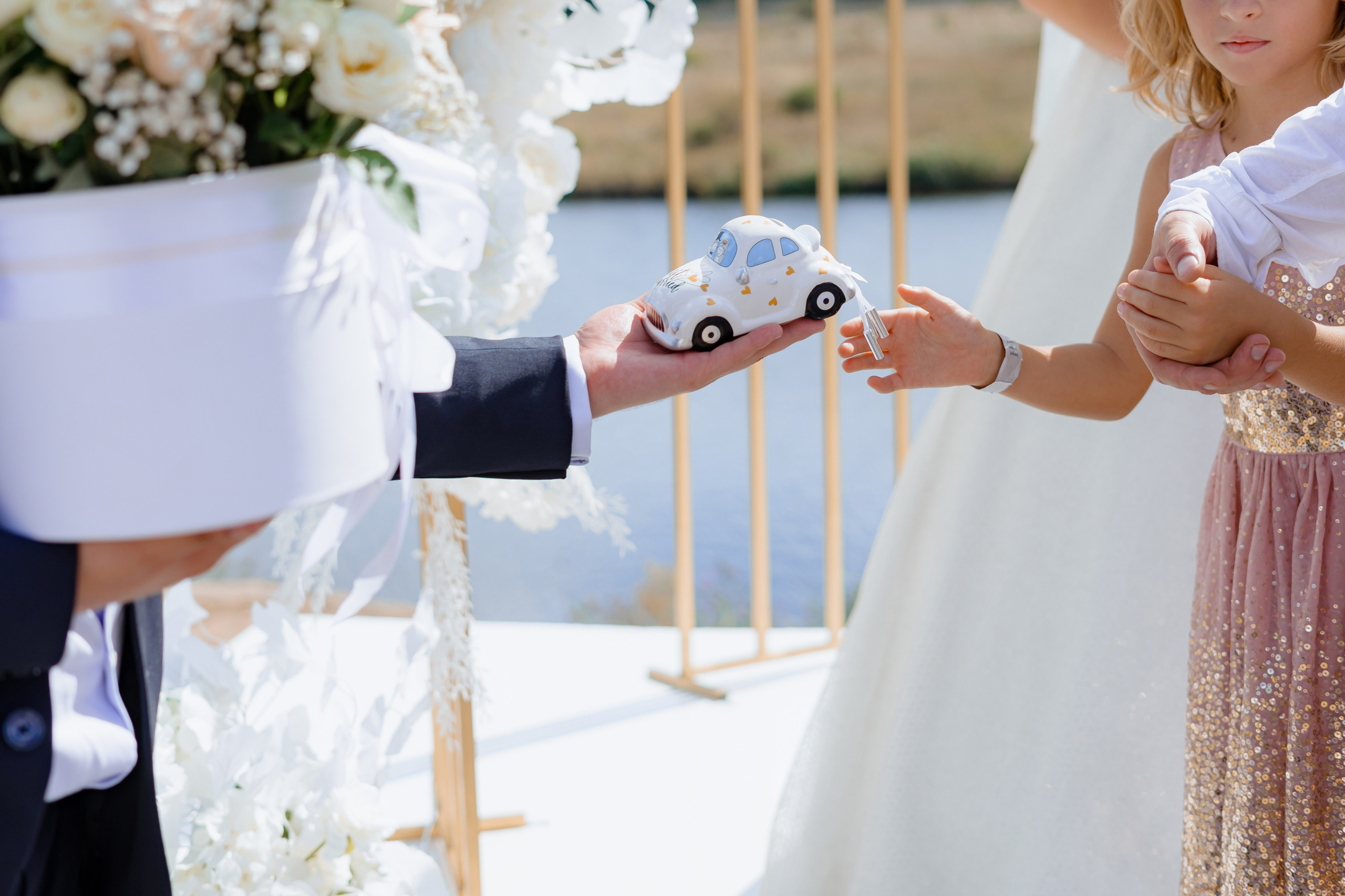 Вікторія та Роман. Весільний фотограф Сергій Черепанов - Львів, Київ, Кропивницький