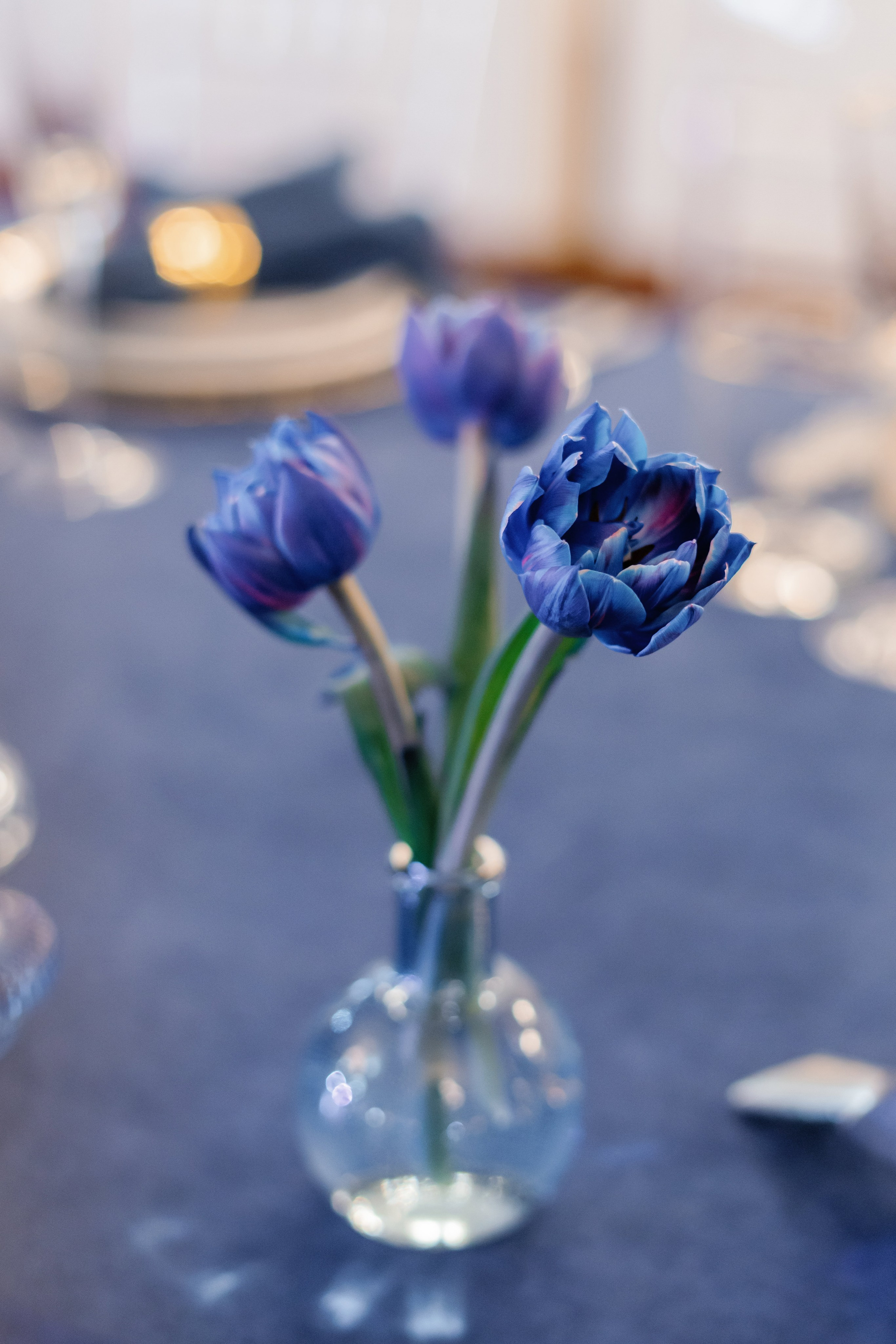 Наталія та Роман. Весільний фотограф Сергій Черепанов - Львів, Київ, Кропивницький