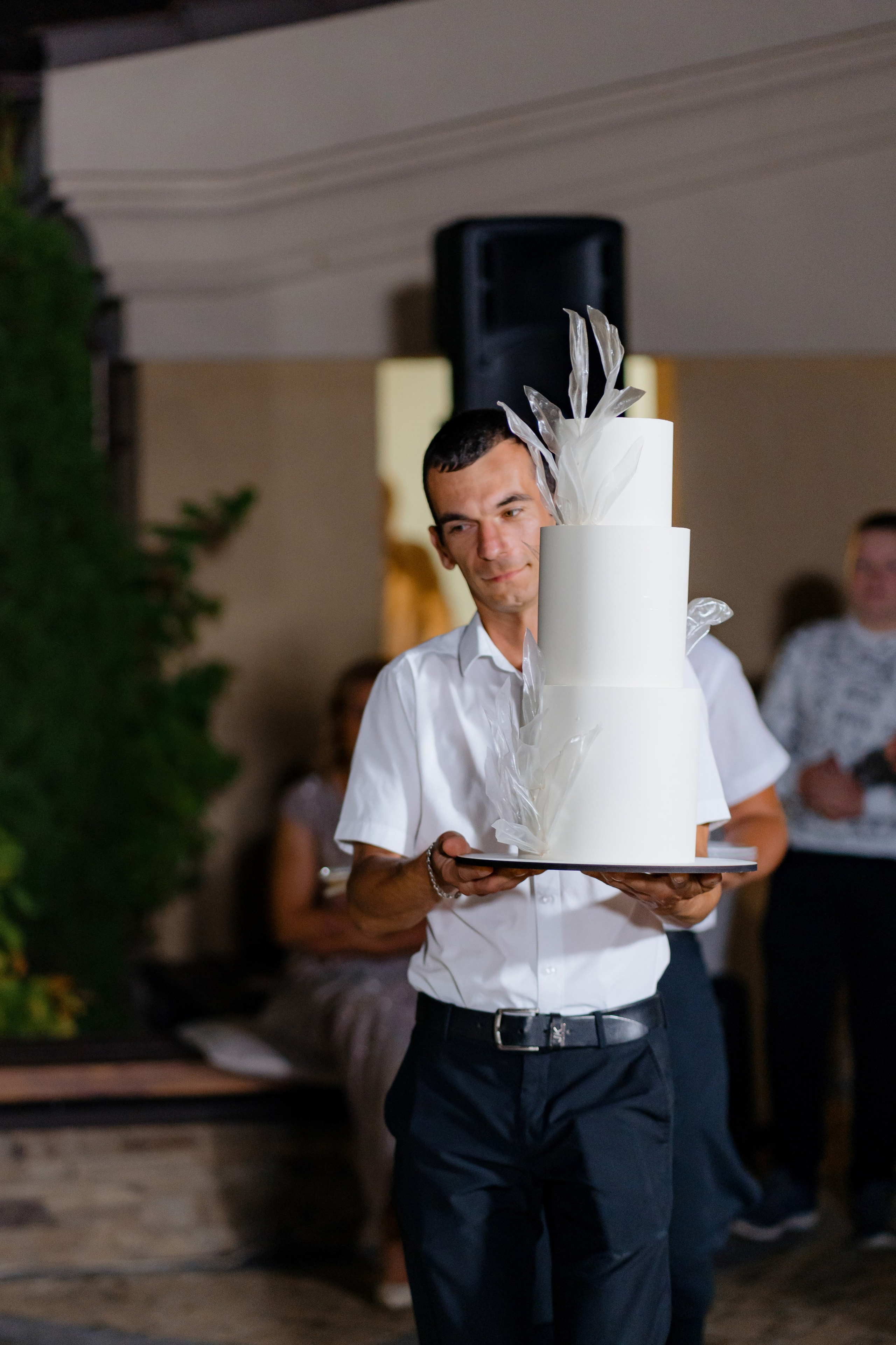 Наталія та Роман. Весільний фотограф Сергій Черепанов - Львів, Київ, Кропивницький