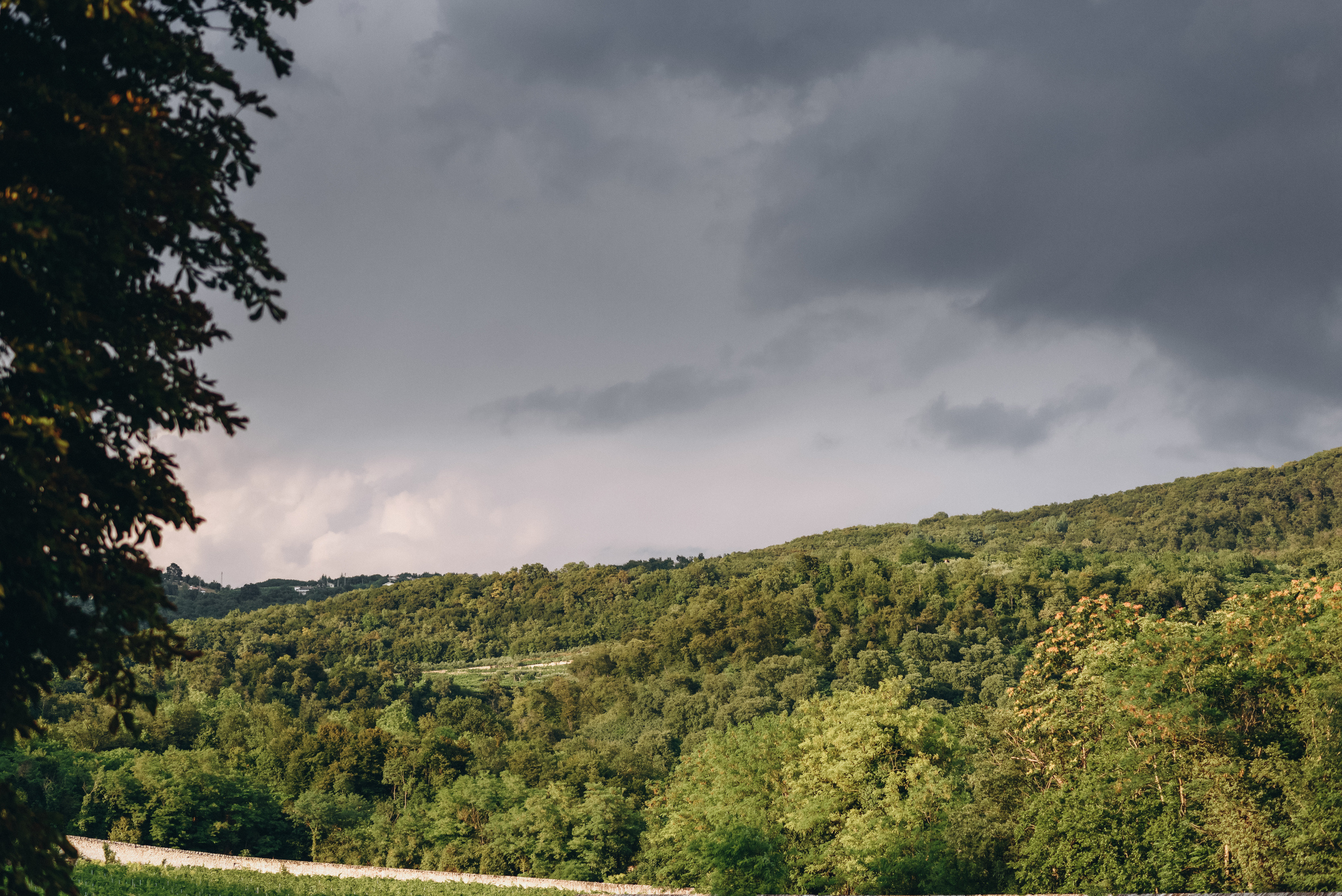 Робін та Кейт. Весільний фотограф Сергій Черепанов - Львів, Київ, Кропивницький