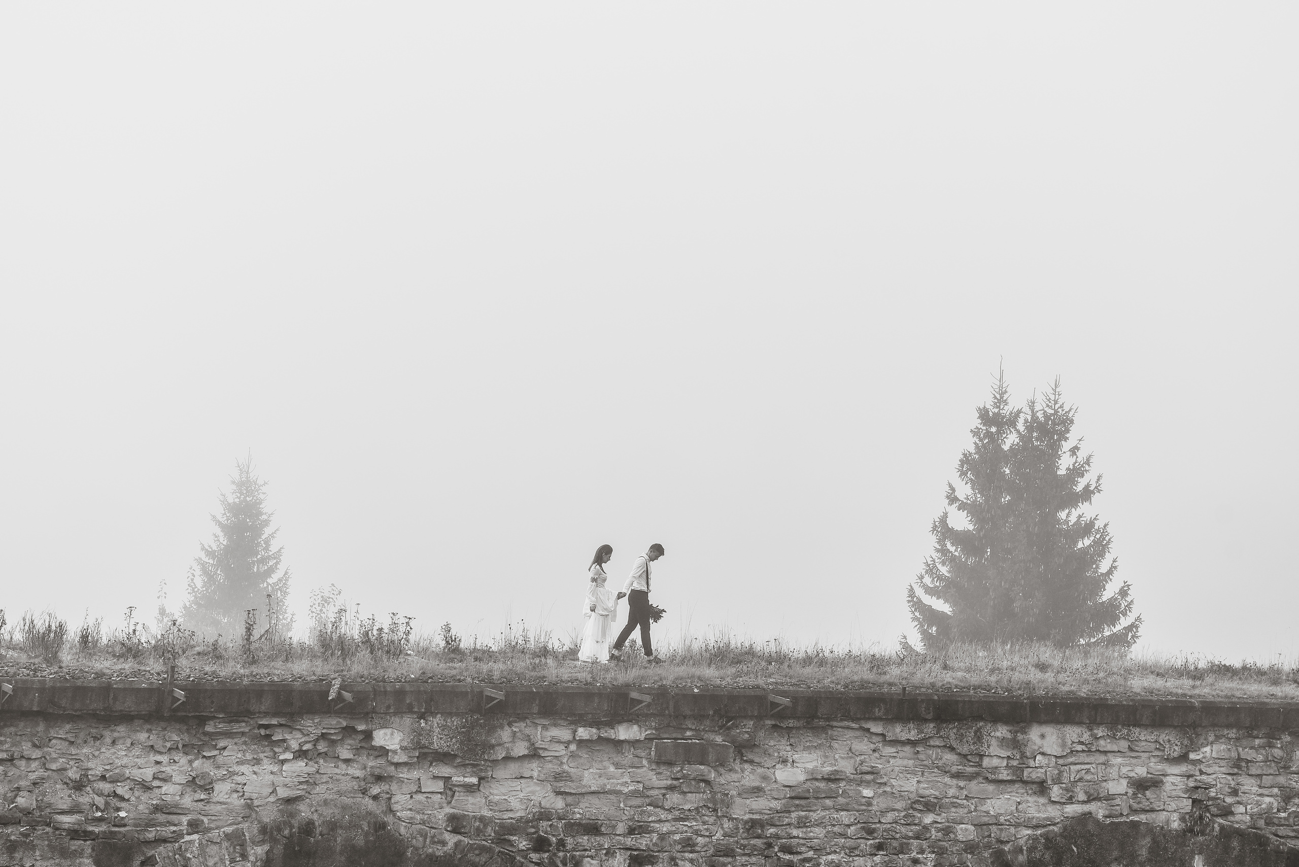 ANNA & NICK. Весільний фотограф Сергій Черепанов - Львів, Київ, Кропивницький