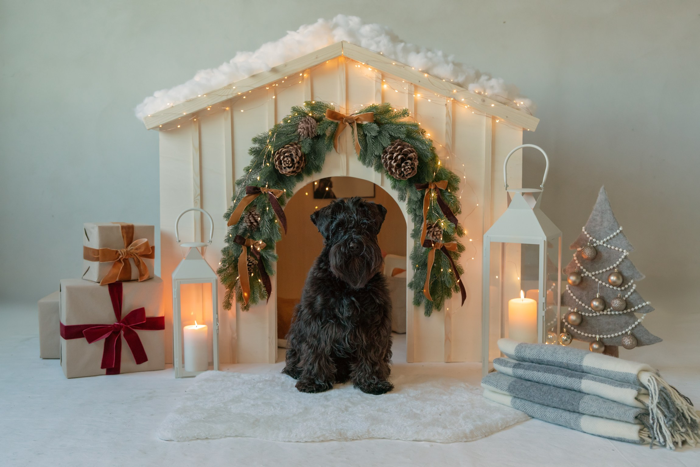 Fotografa a Riccione, ritratti di bambini e famiglia, animali domestici