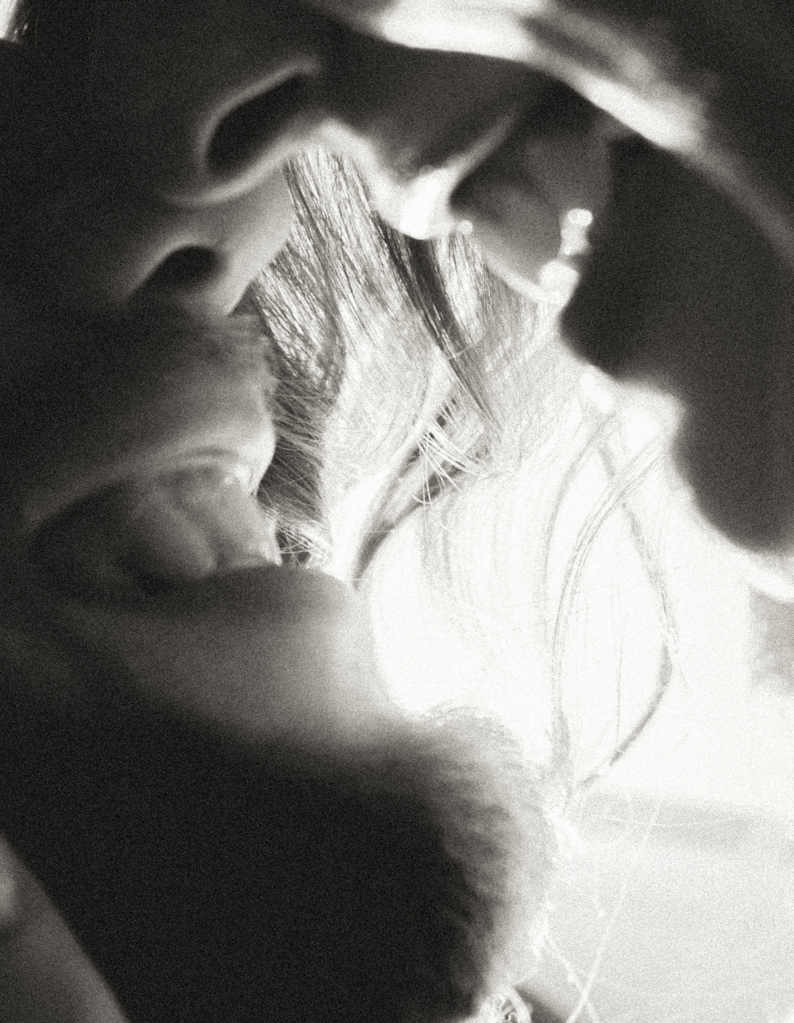 Стану твоим любимым фотографом