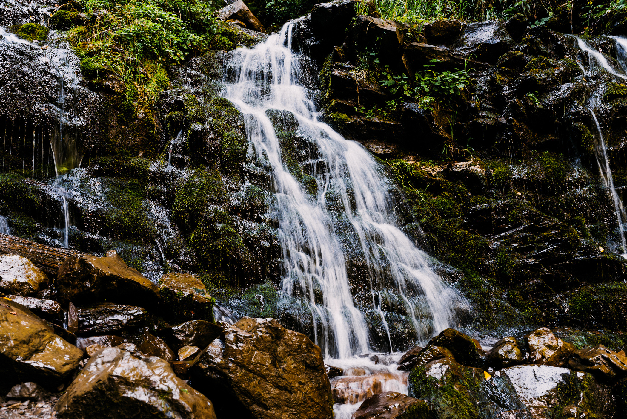Фотосесія в Карпатах. Весільний фотограф | Рівне | Львів | Ваш фотограф на весілля