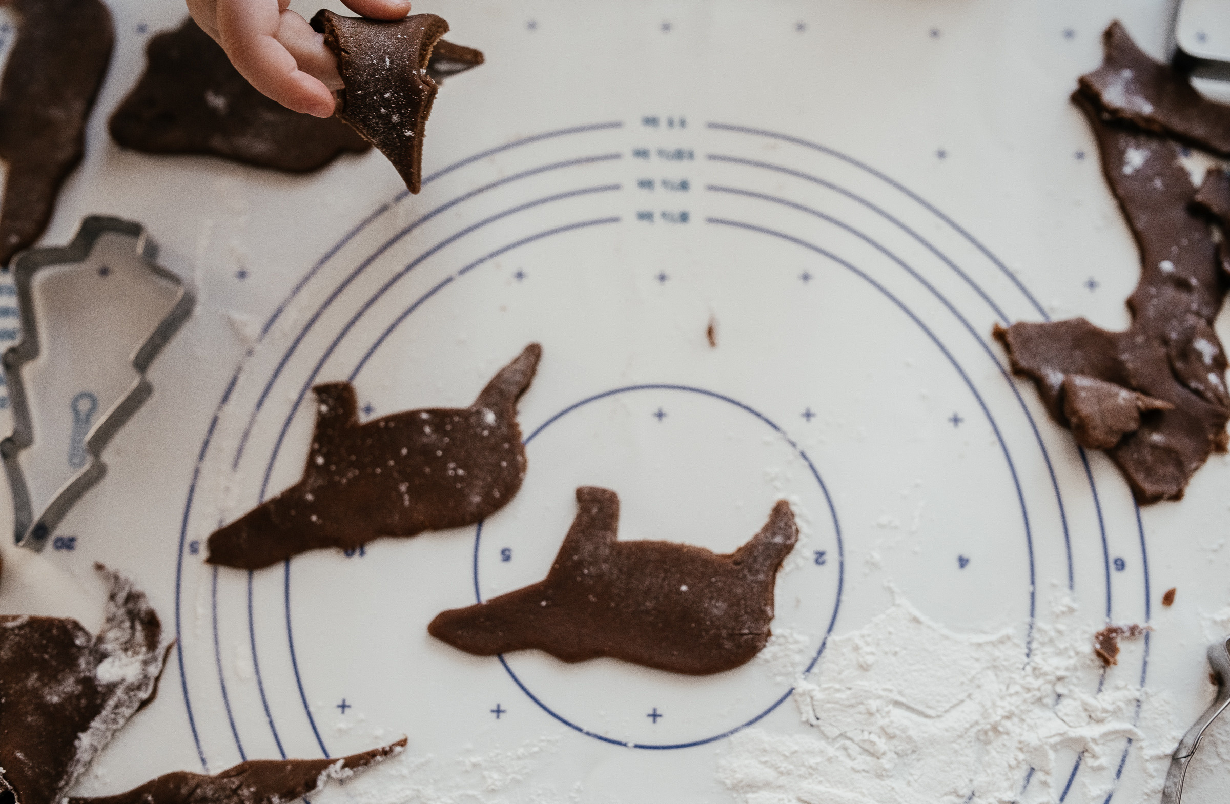 Ольга Сергей. Photographer in Estonia | Ksenia Judina