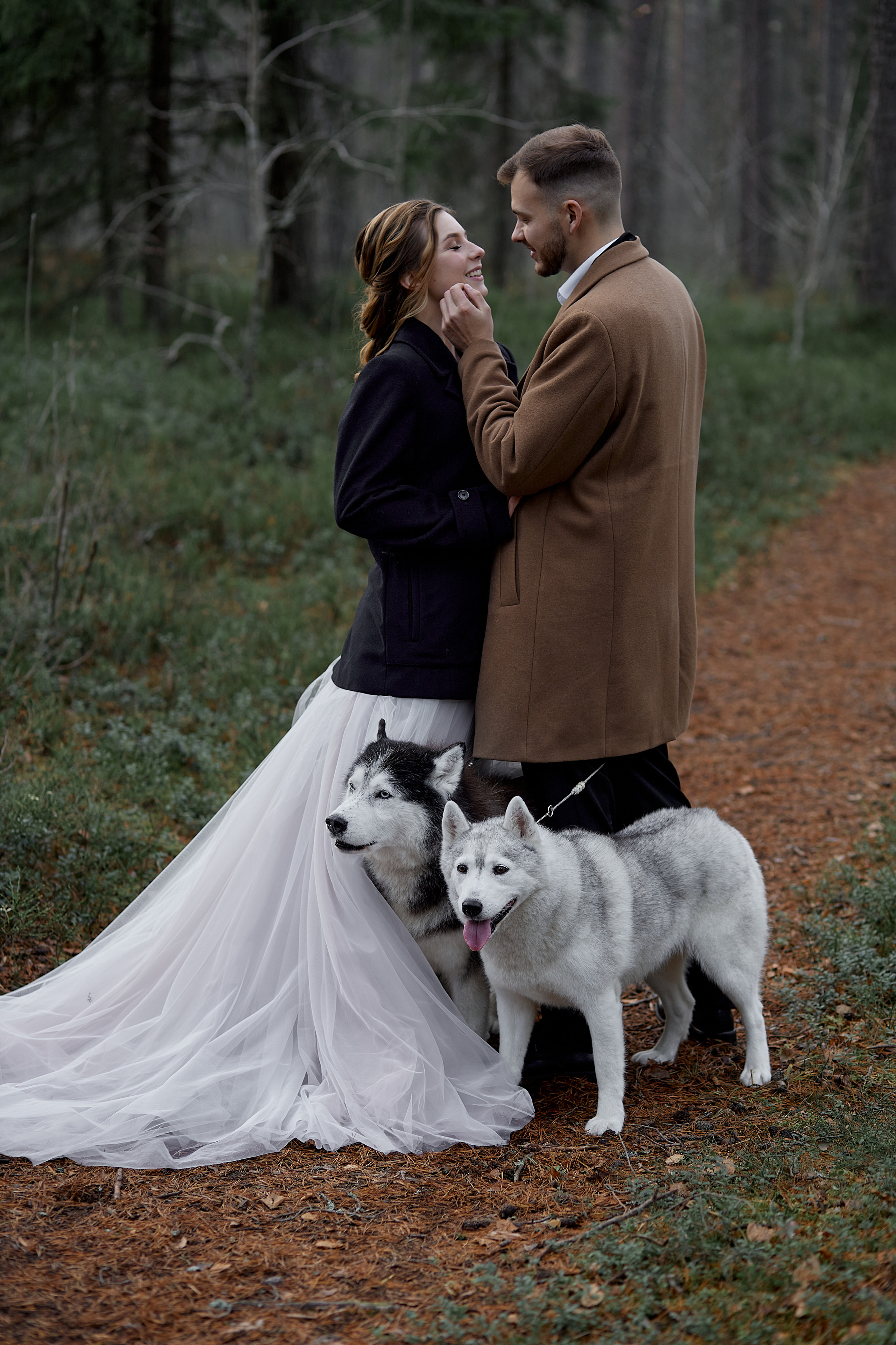 30.10.2021 Mysterious Forest. Photographer in Estonia | Ksenia Judina