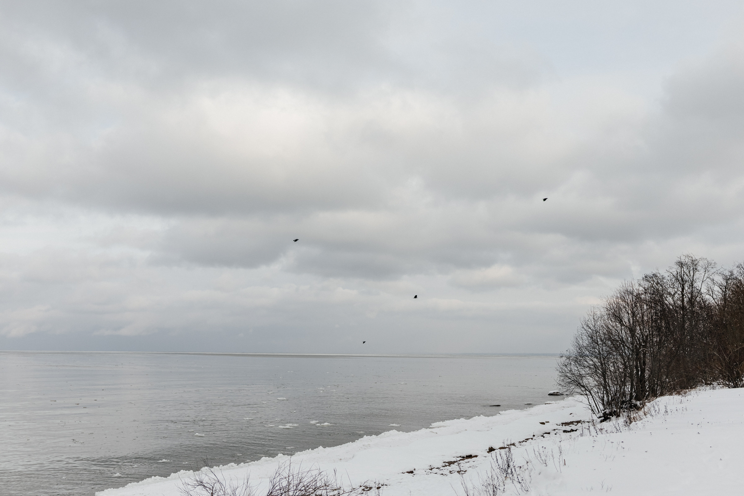 Катя Демьян. Photographer in Estonia | Ksenia Judina