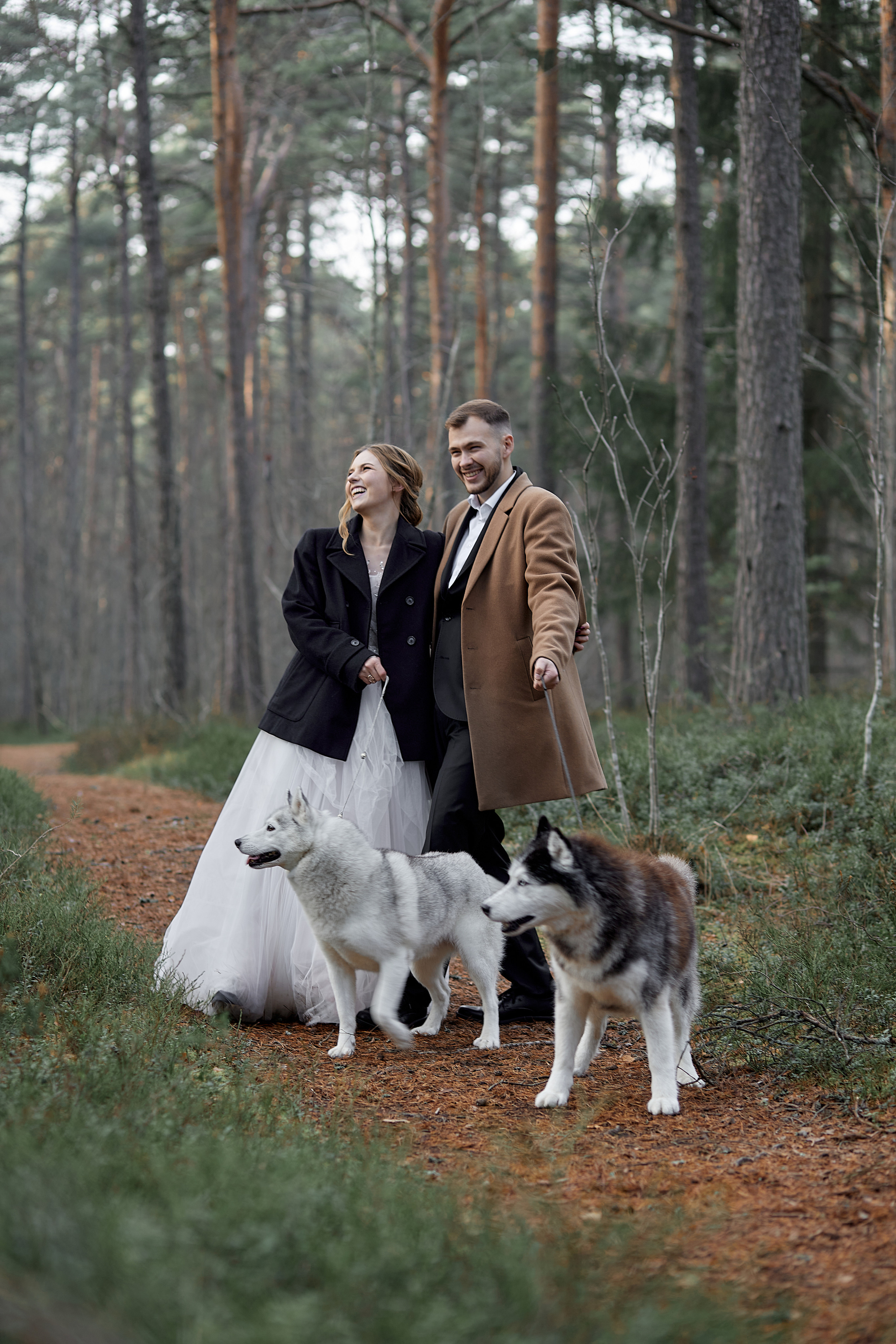 30.10.2021 Mysterious Forest. Photographer in Estonia | Ksenia Judina