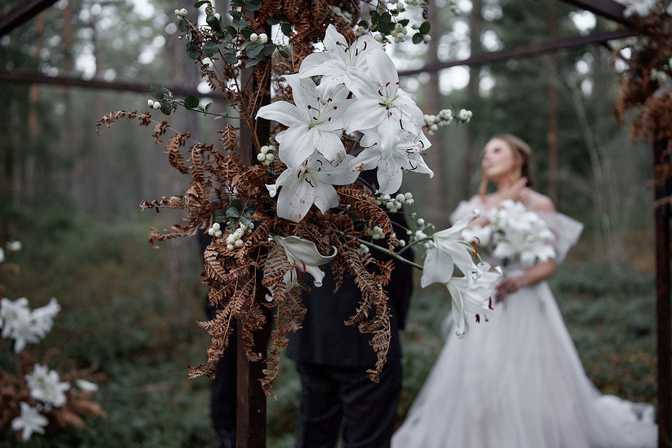 30.10.2021 Mysterious Forest. Photographer in Estonia | Ksenia Judina