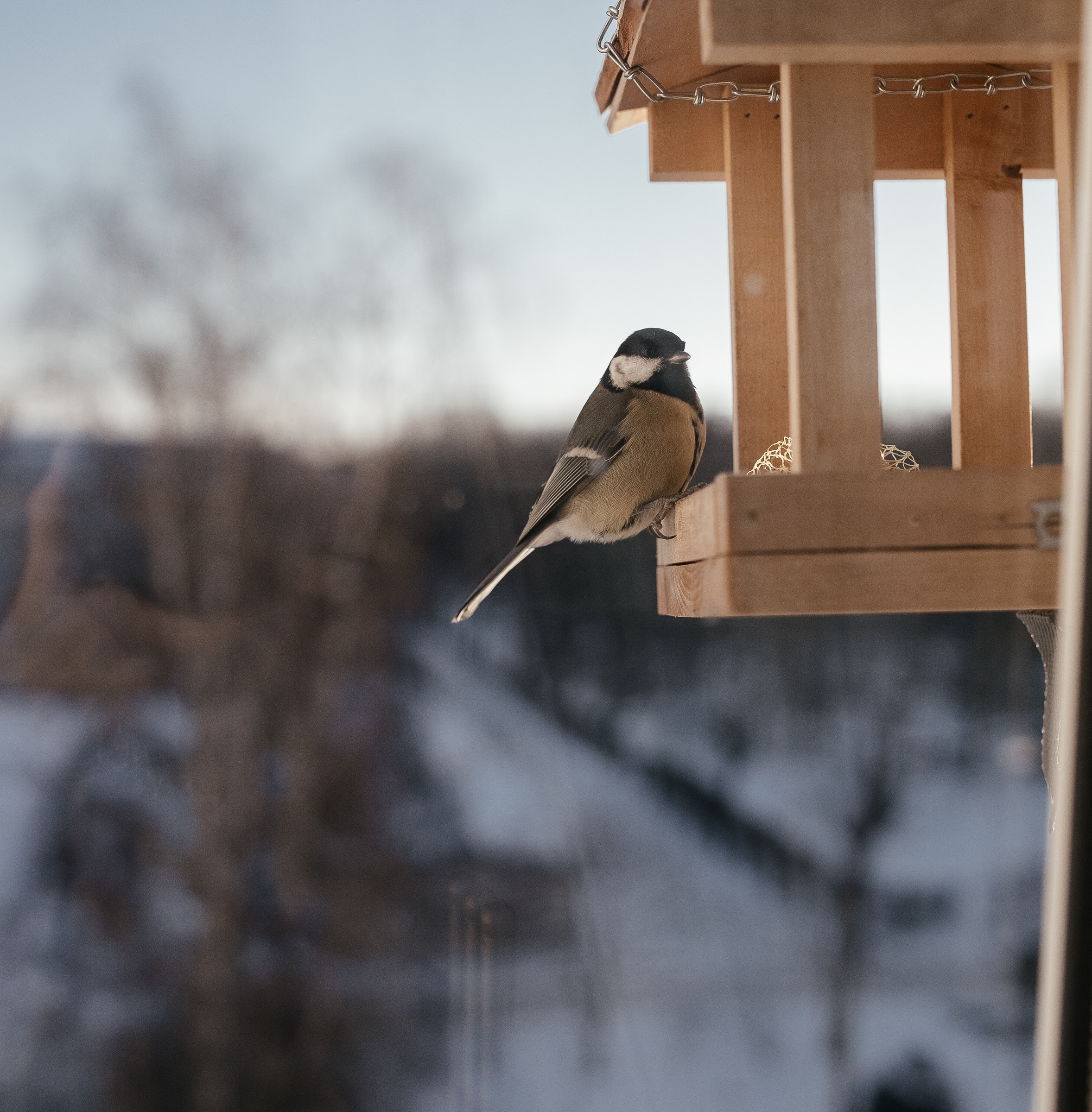 Ольга Сергей. Photographer in Estonia | Ksenia Judina