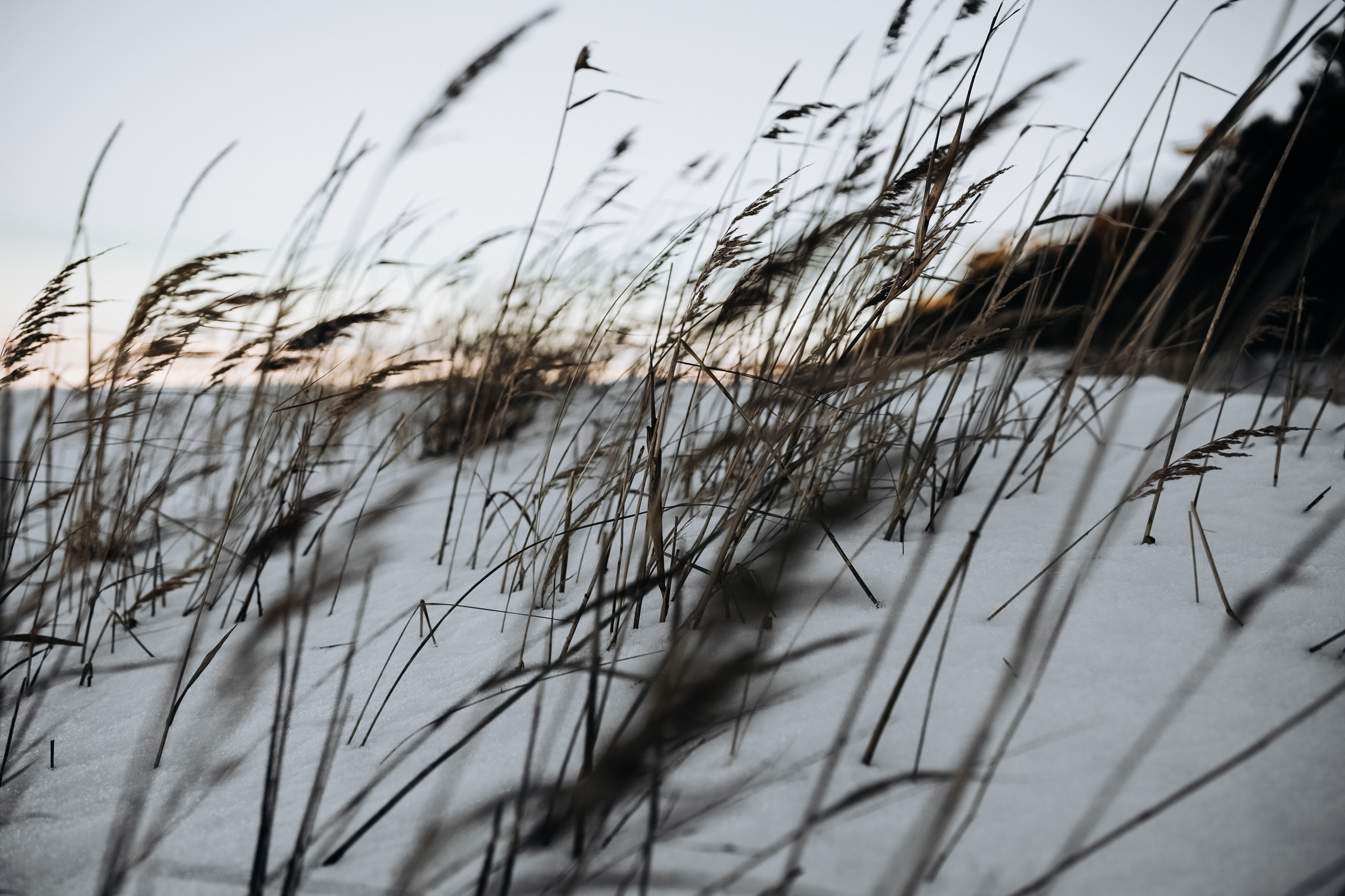 Екатерина. Photographer in Estonia | Ksenia Judina