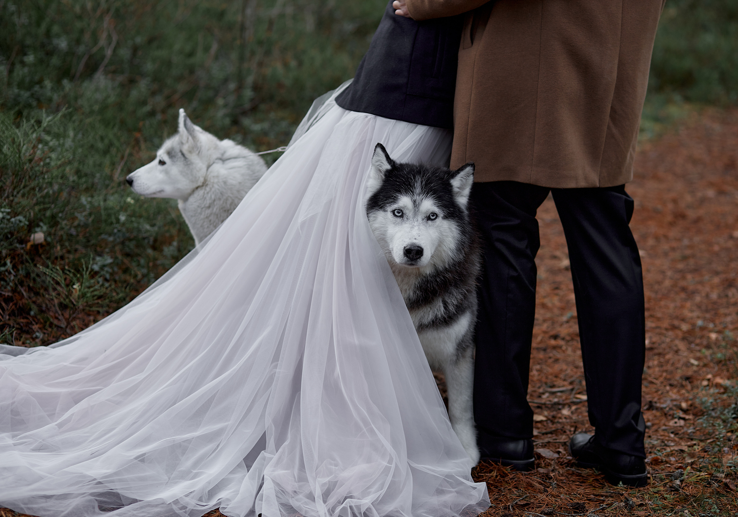 30.10.2021 Mysterious Forest. Photographer in Estonia | Ksenia Judina