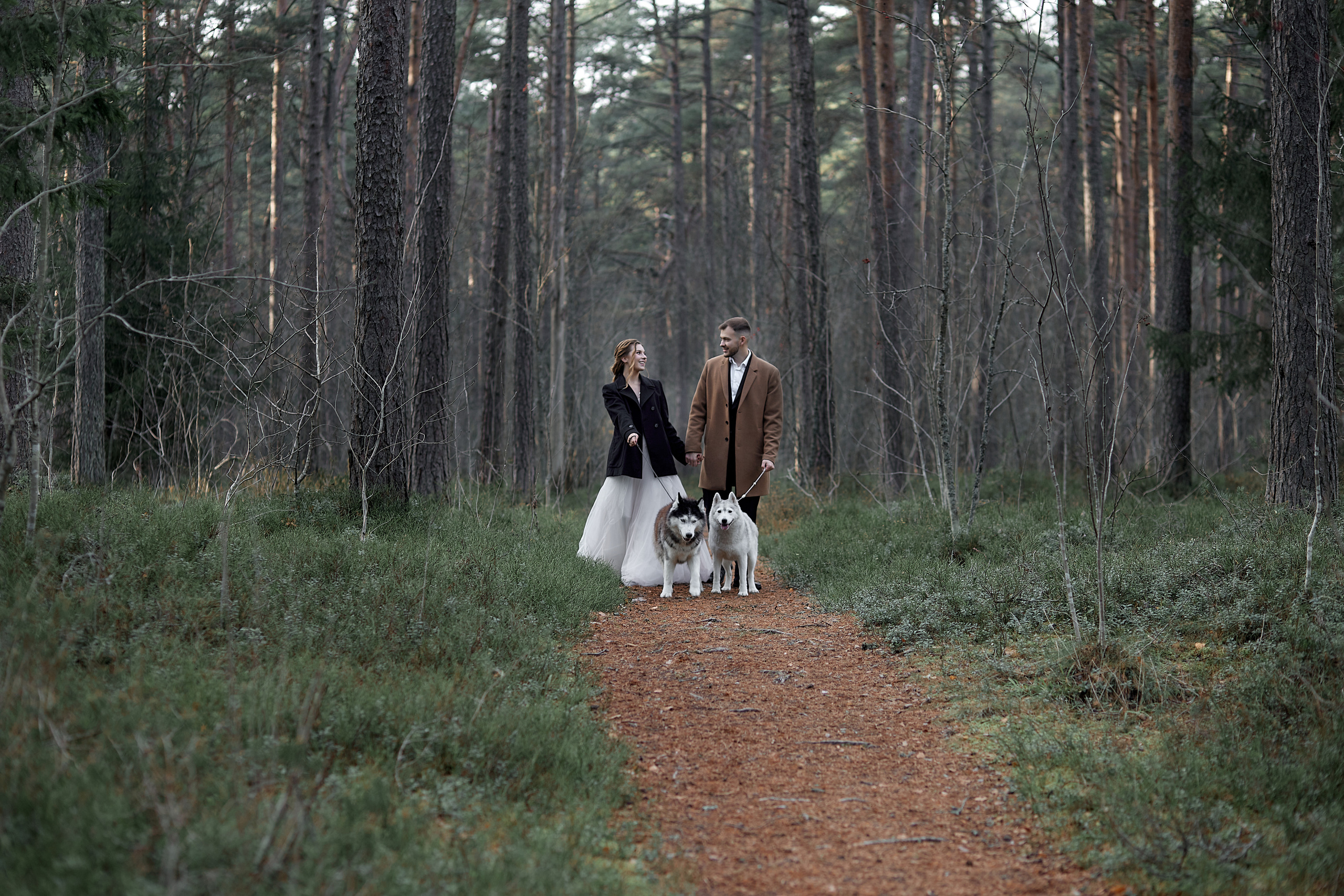 30.10.2021 Mysterious Forest. Photographer in Estonia | Ksenia Judina