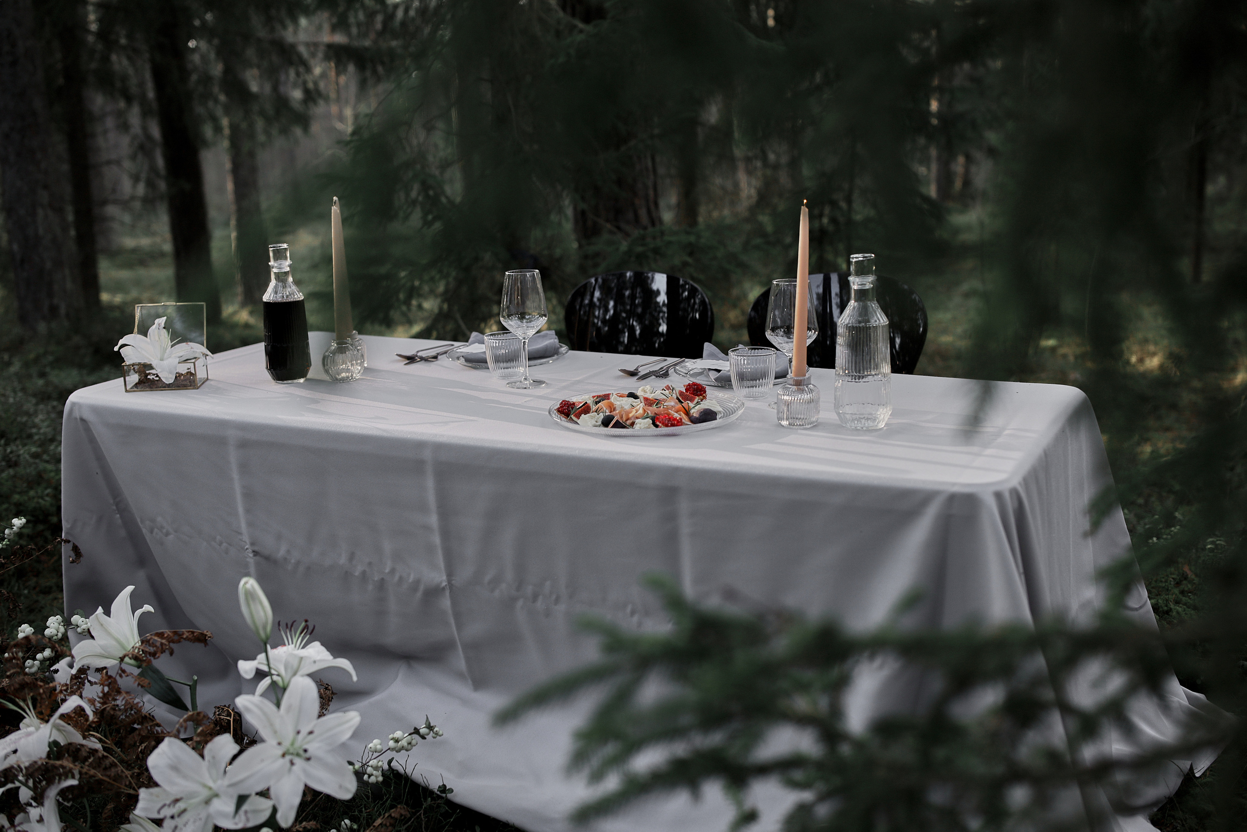 30.10.2021 Mysterious Forest. Photographer in Estonia | Ksenia Judina