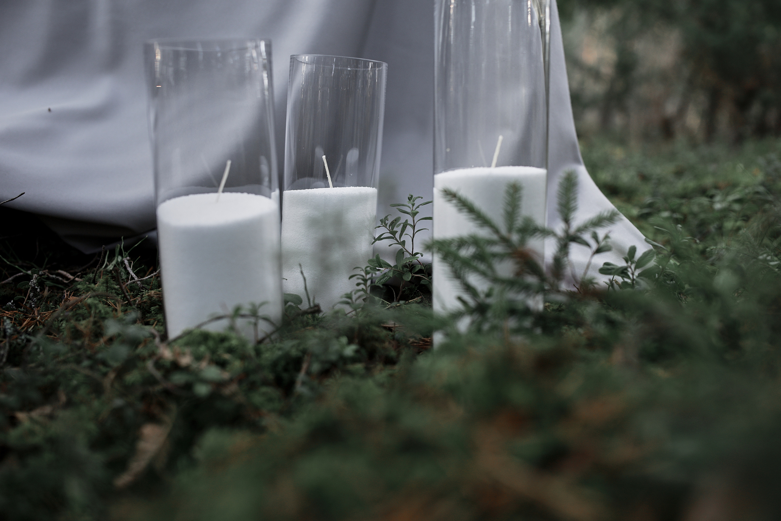 30.10.2021 Mysterious Forest. Photographer in Estonia | Ksenia Judina