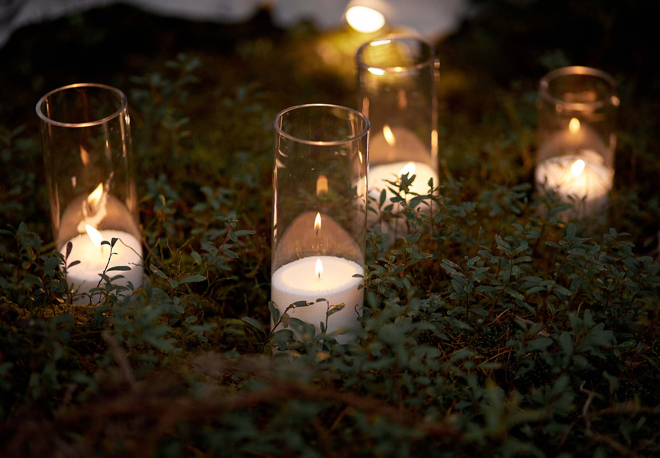 30.10.2021 Mysterious Forest. Photographer in Estonia | Ksenia Judina