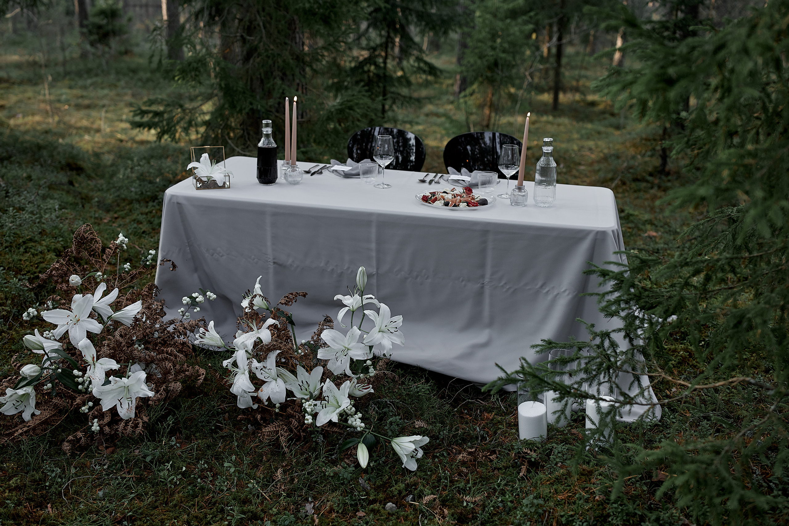 30.10.2021 Mysterious Forest. Photographer in Estonia | Ksenia Judina