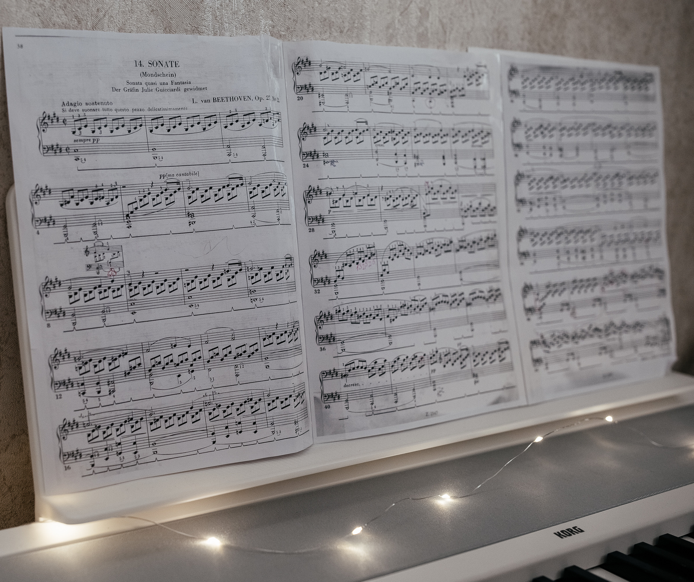 Ольга Сергей. Photographer in Estonia | Ksenia Judina