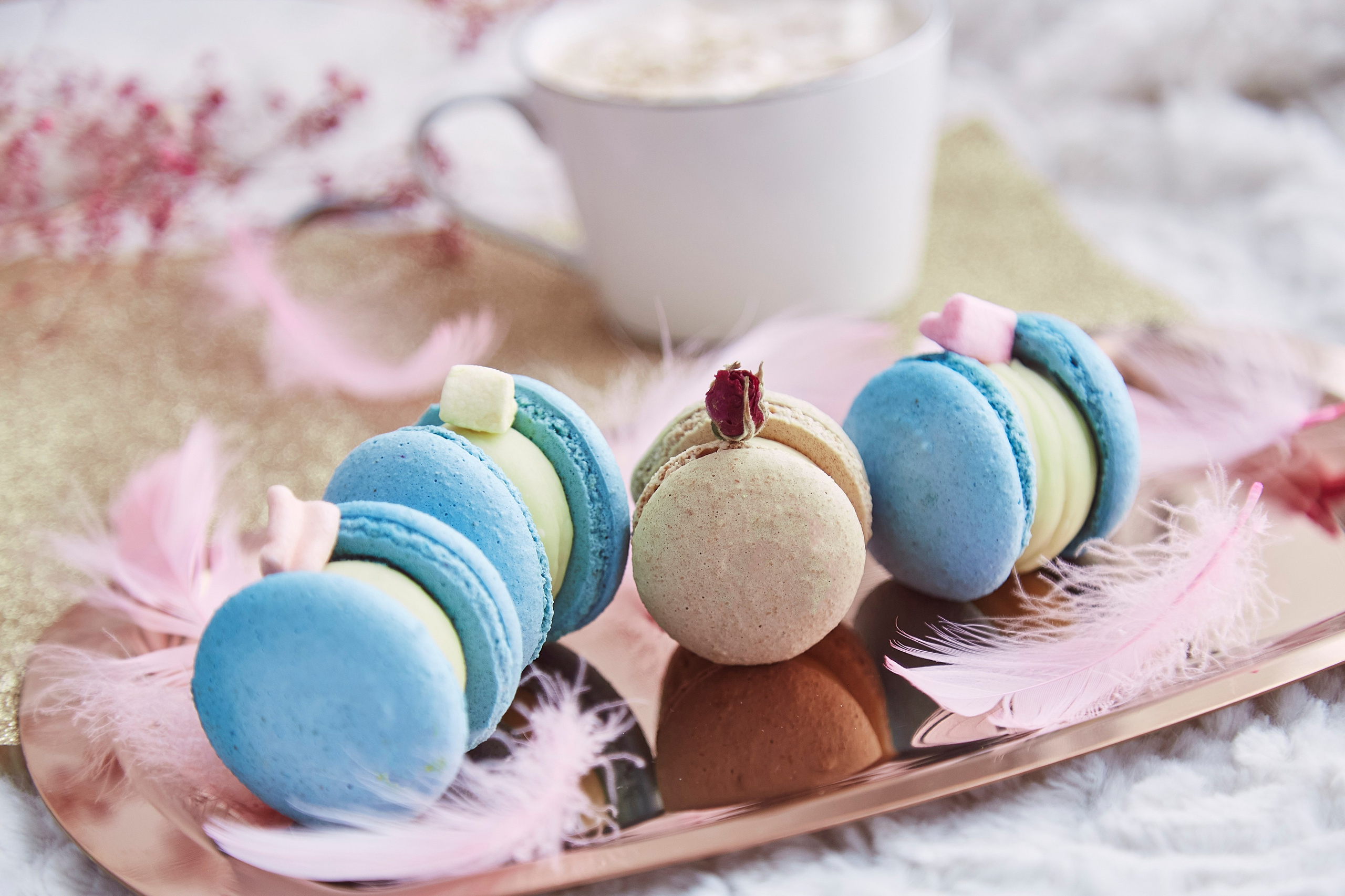 Фото для бізнесу: Інстаграм сторінок, кафе та ресторанів. Портретний та сімейний фотограф Київ Наталі Алькема