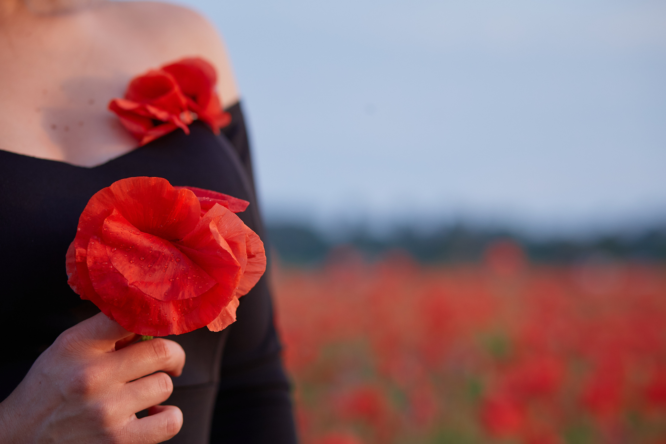 портретна фотосесія, індивідуальна фотосесія, фотографкиев, фотосессия киев, фотограф карпати, фотосесія в Карпатах, фотосесія в маках, фотограф, фотосессия на&nbsp;природе, canon ukraine,  kiev photography, kiev photosession, portrait photography, фотограф киев украина, обработка фотографий, фотосессия, photographer, идеи для фотографии, фотосессия в&nbsp;киеве, photographer kiev, фотостудия киев, фотограф буча, фотограф ирпень, portrait photoshoot, студийная фотосессия, фотограф смотреть, фотосесія на вулиці, Київ фотограф, фотосесія з димом, фотосессия на природе, фотосесія на природі, портрет на природі, фотограф Ірпінь, весняна фотосесія, фотосессия в маках, 8 Марта, подарок на 8 Марта, подарочный сертификат на фотосессию