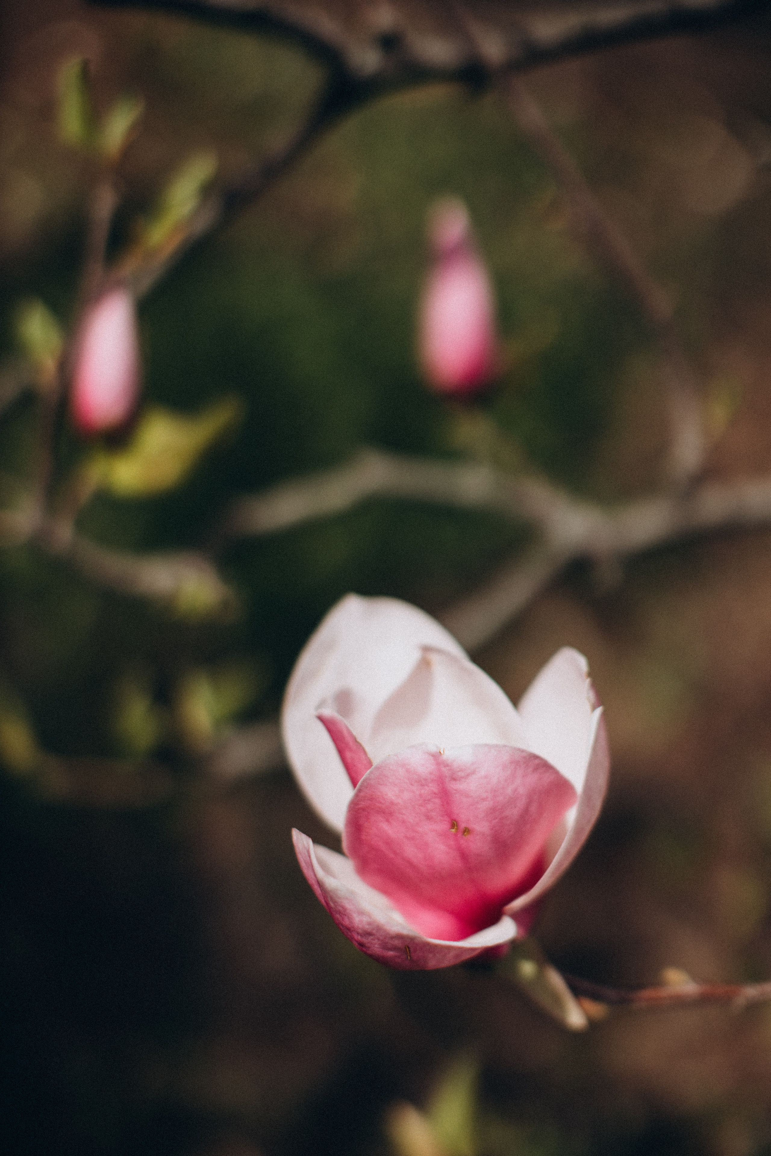 Фотосессия для Кати и ее сыночка. Wedding Photographer in Florence, Pisa & Tuscany | Candid & Elegant Photography in Italy